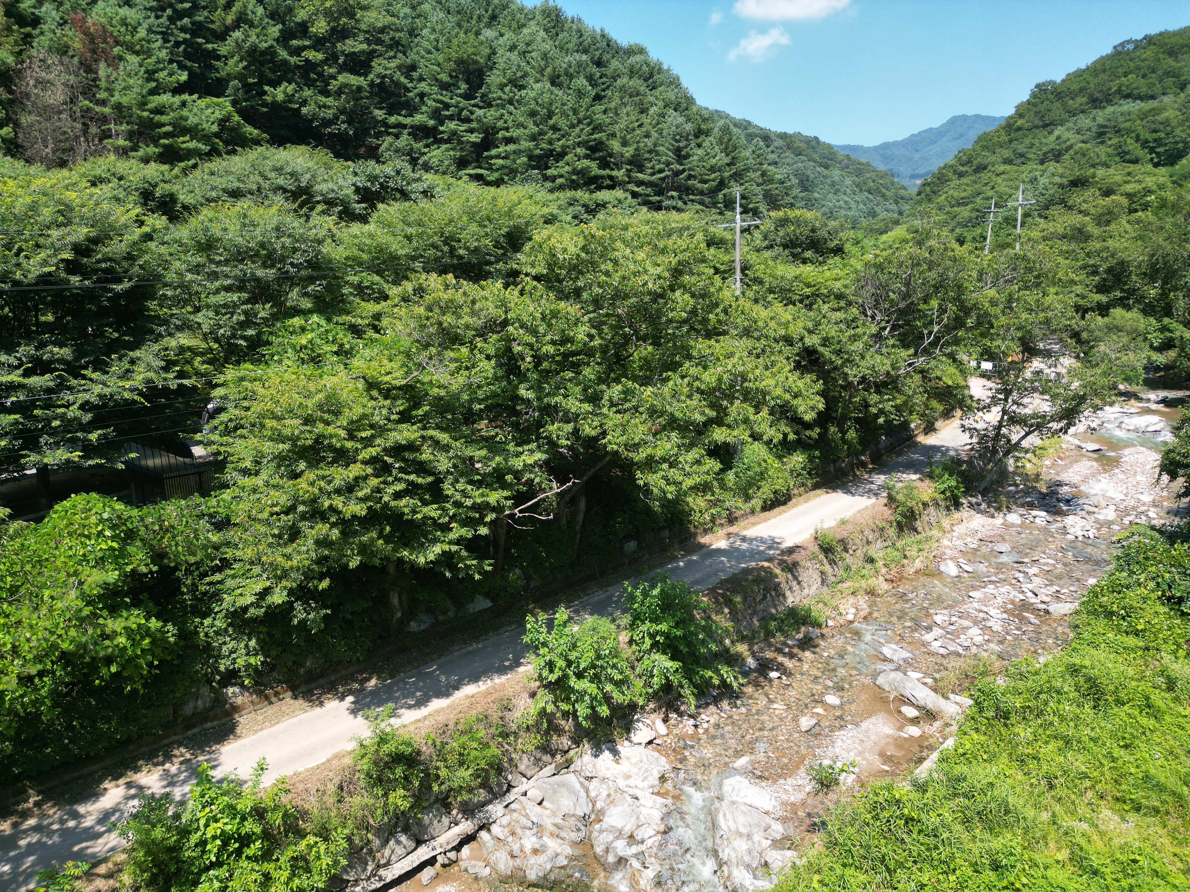 별드림캠핑장 4번째 이미지