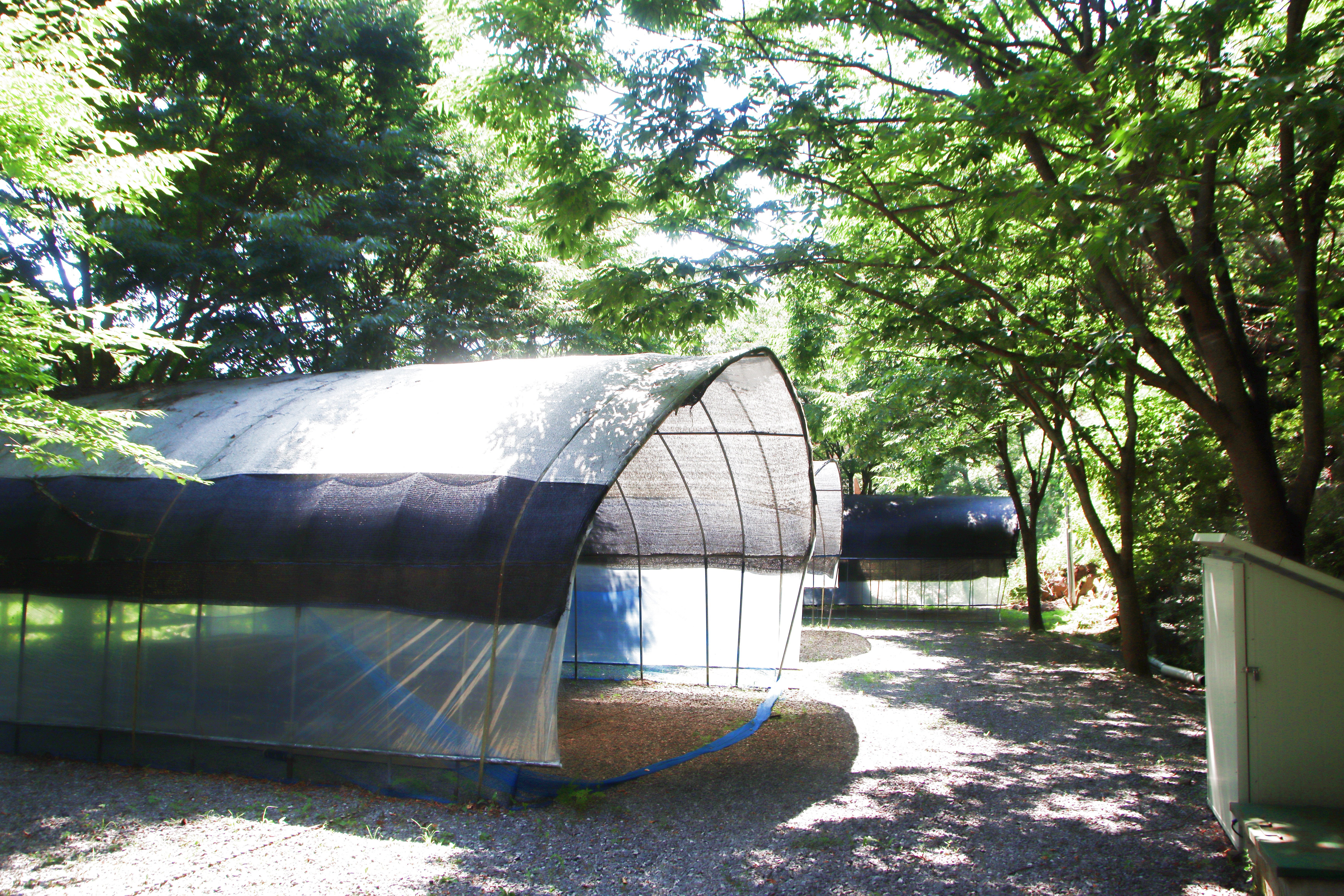 별드림캠핑장 21번째 이미지