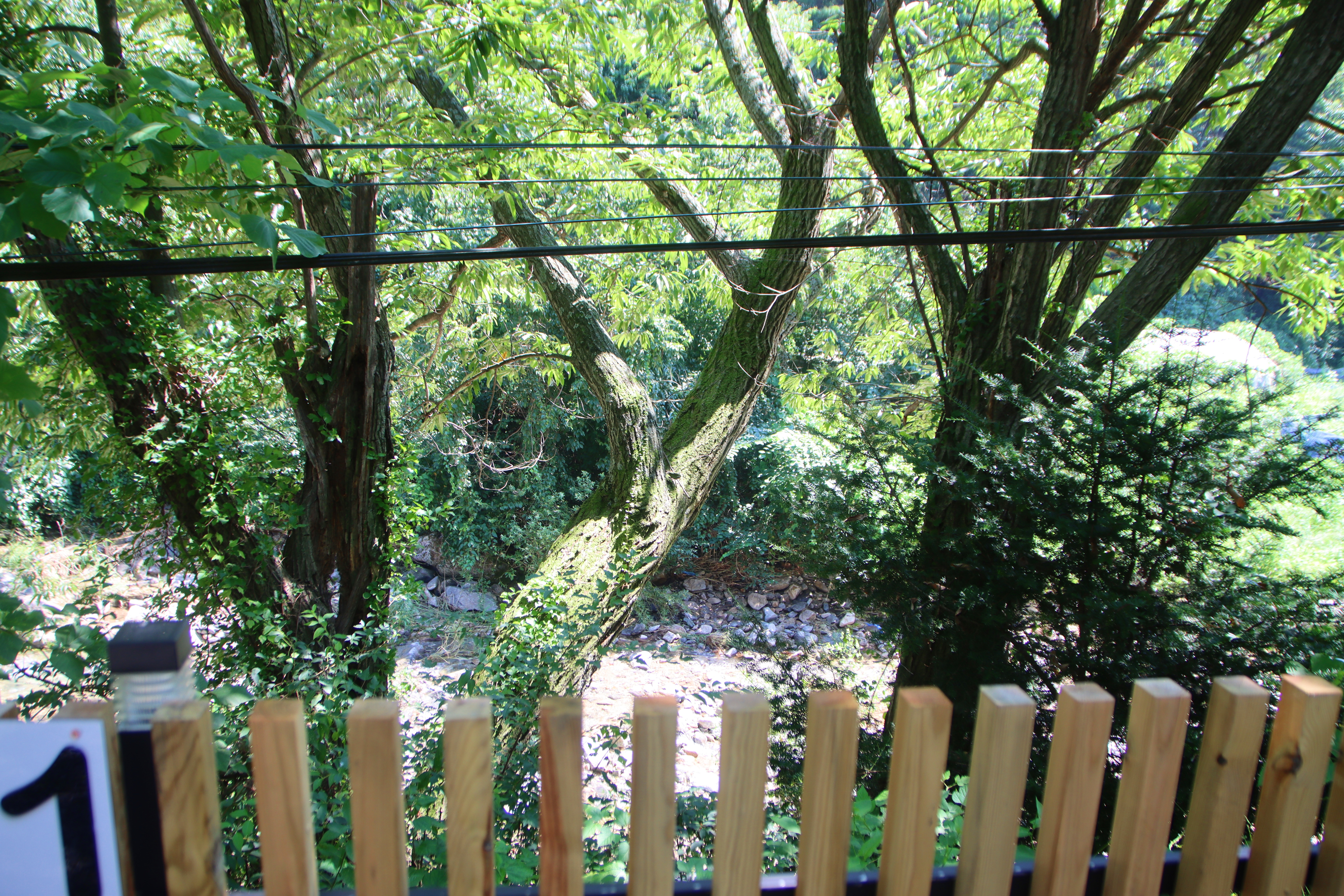 별드림캠핑장 17번째 이미지