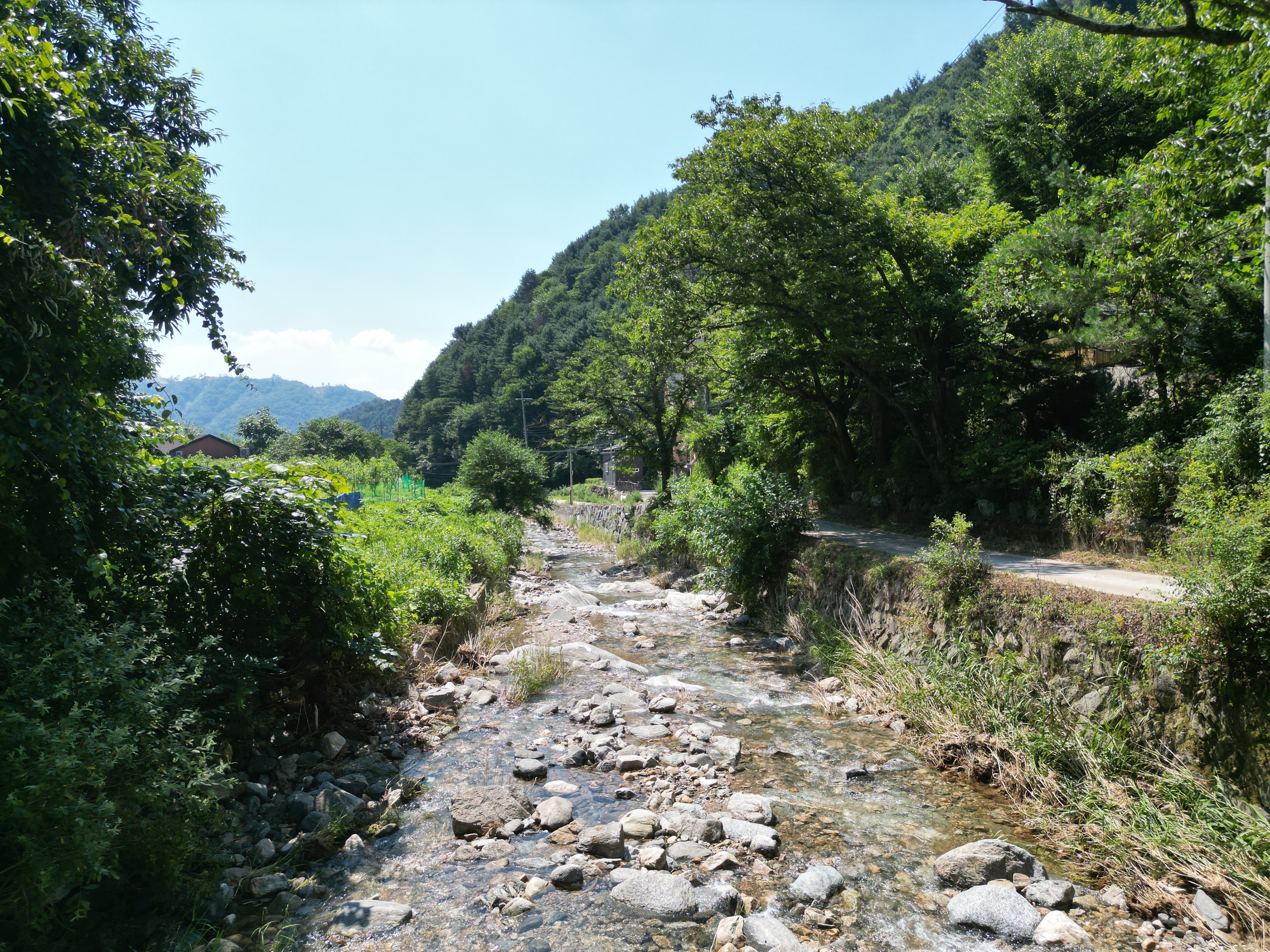 별드림캠핑장 9번째 이미지