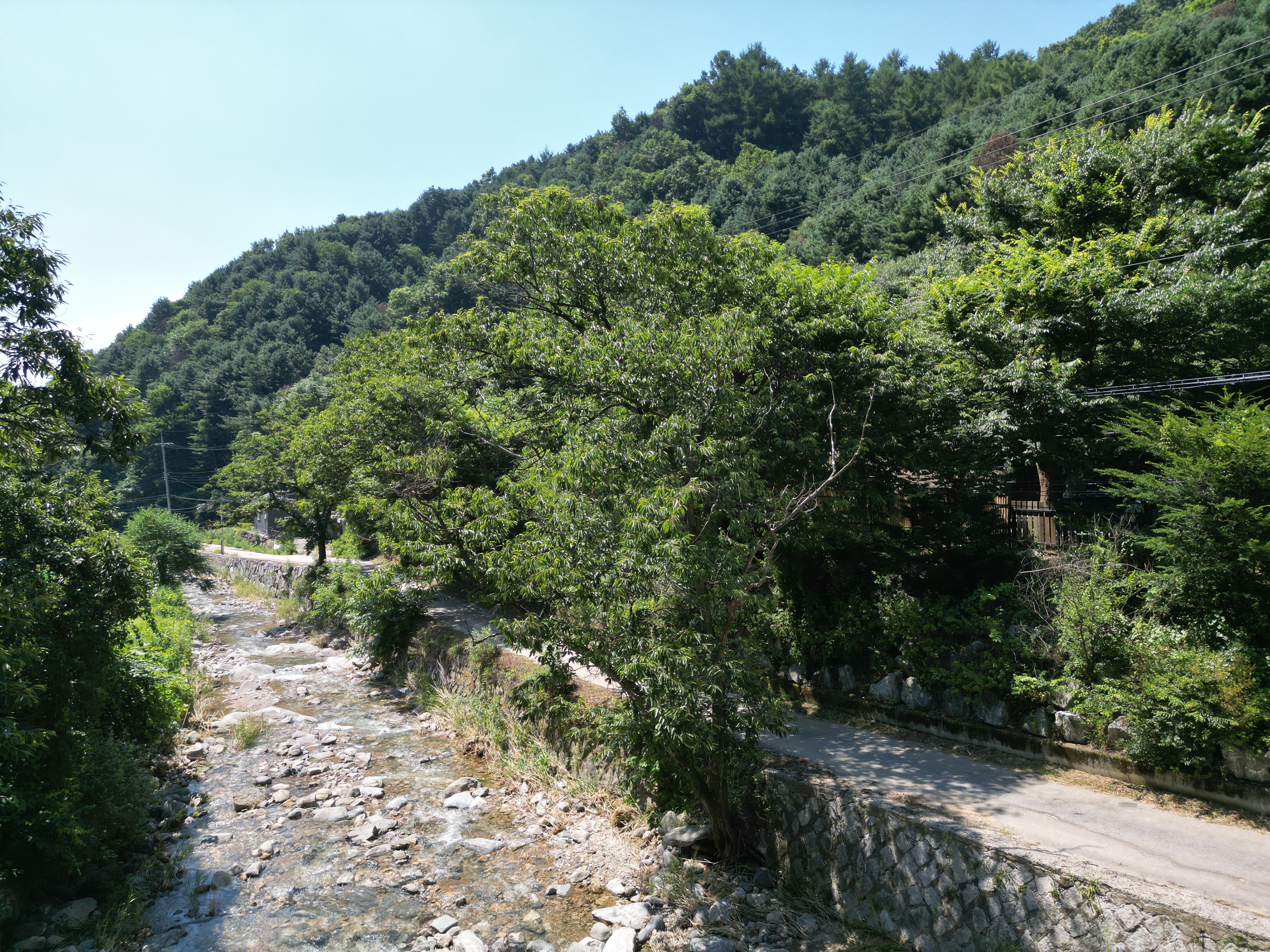 별드림캠핑장 7번째 이미지