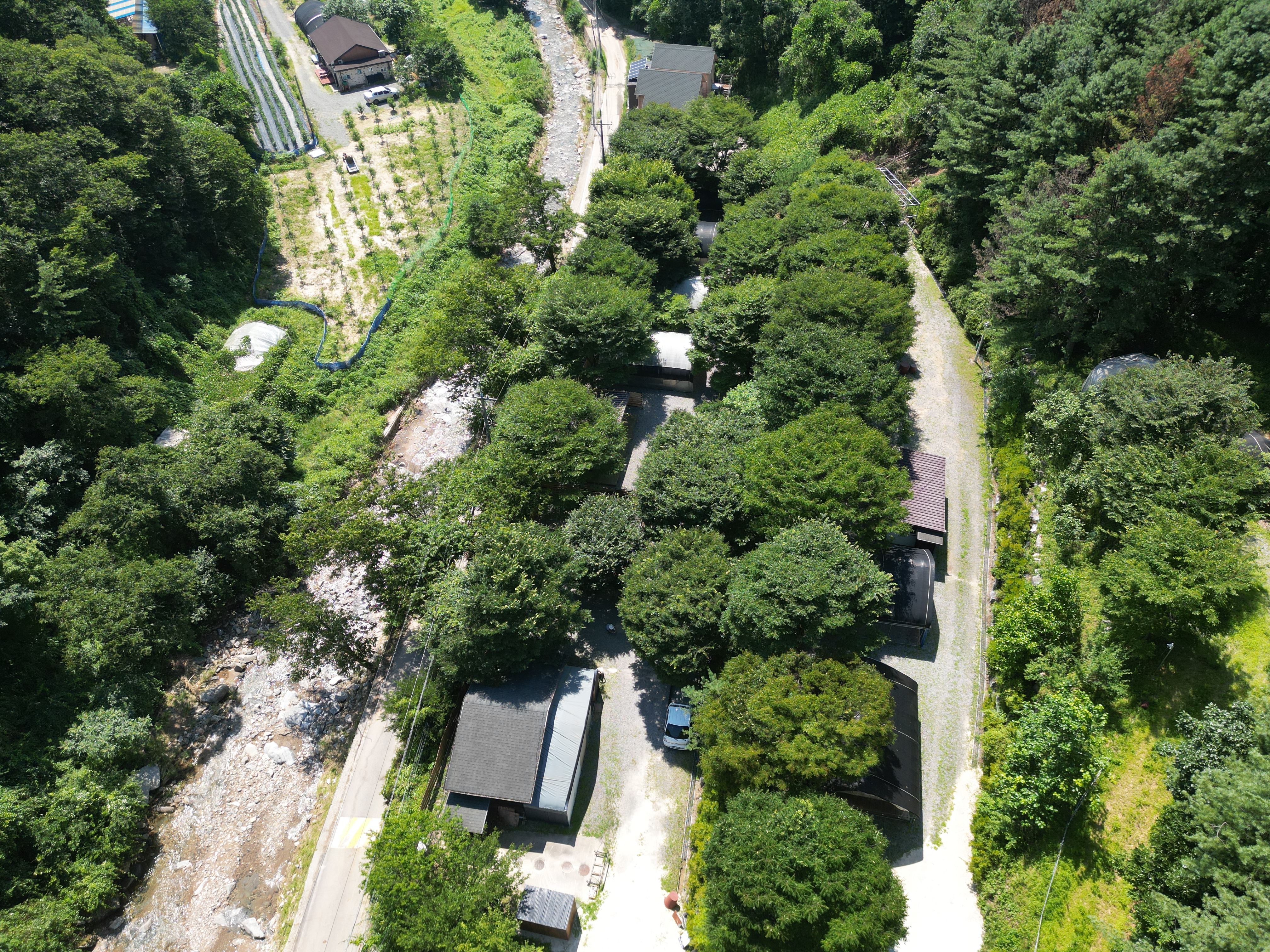 별드림캠핑장 3번째 이미지