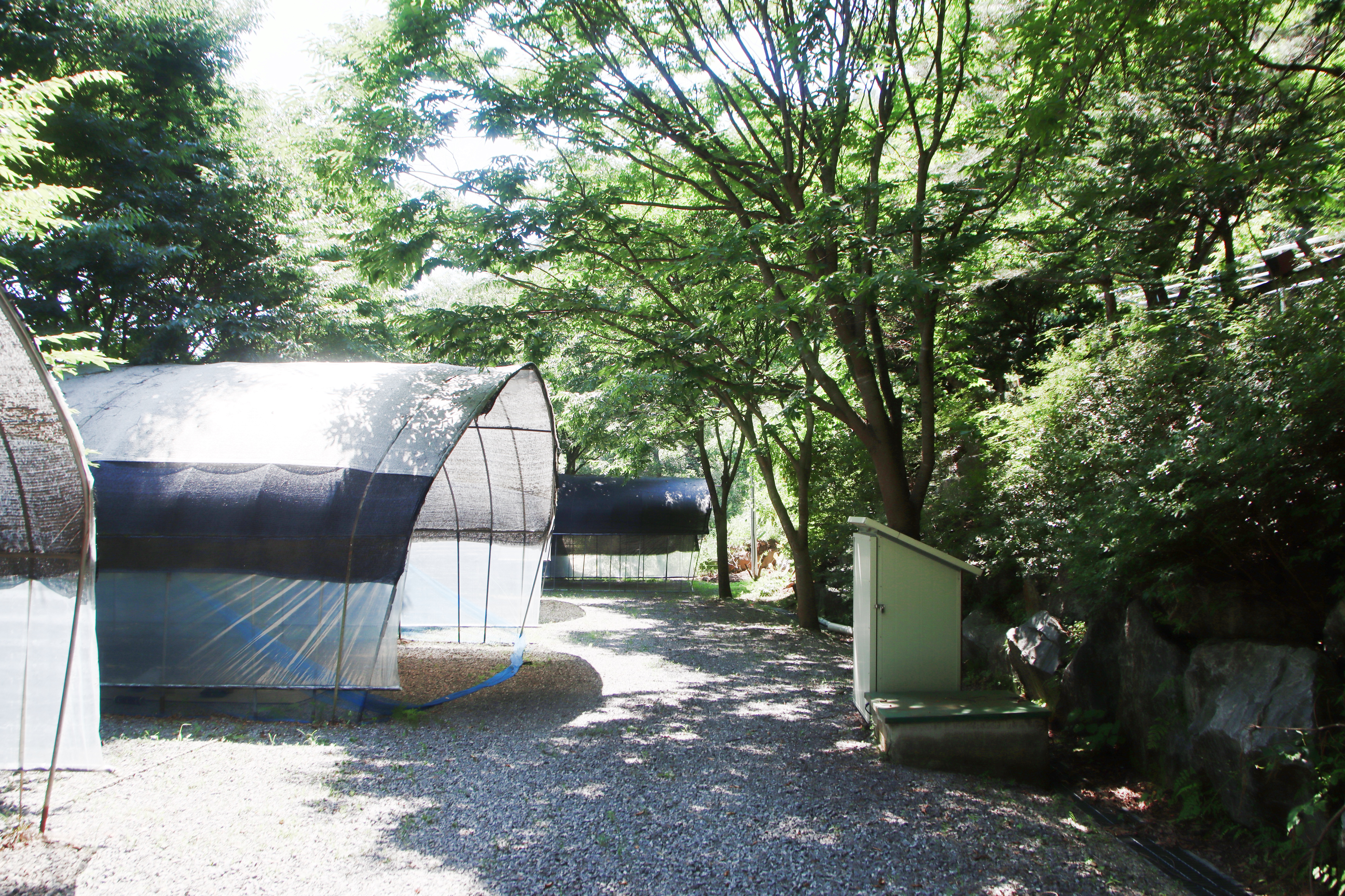 별드림캠핑장 14번째 이미지