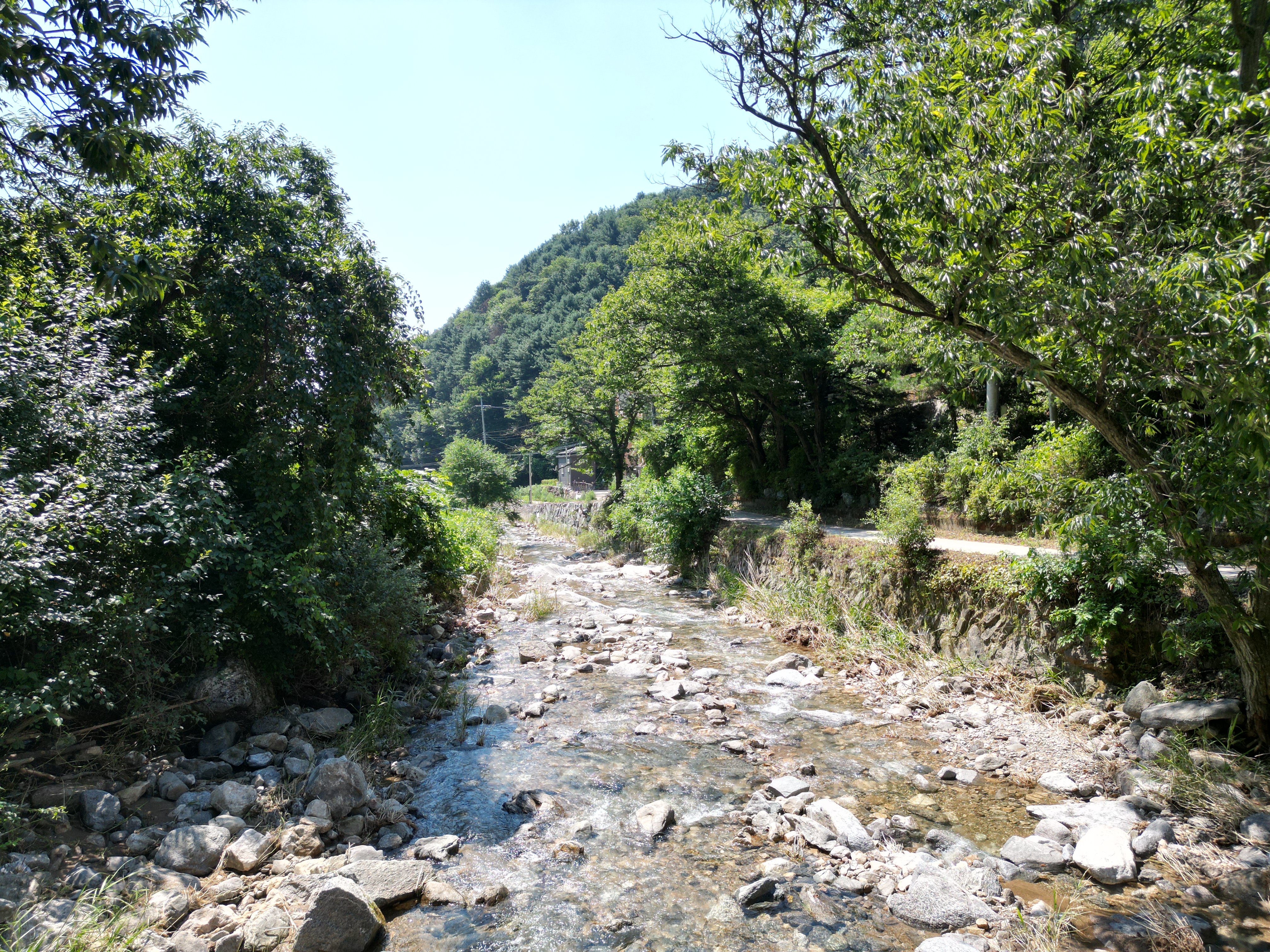 별드림캠핑장 8번째 이미지