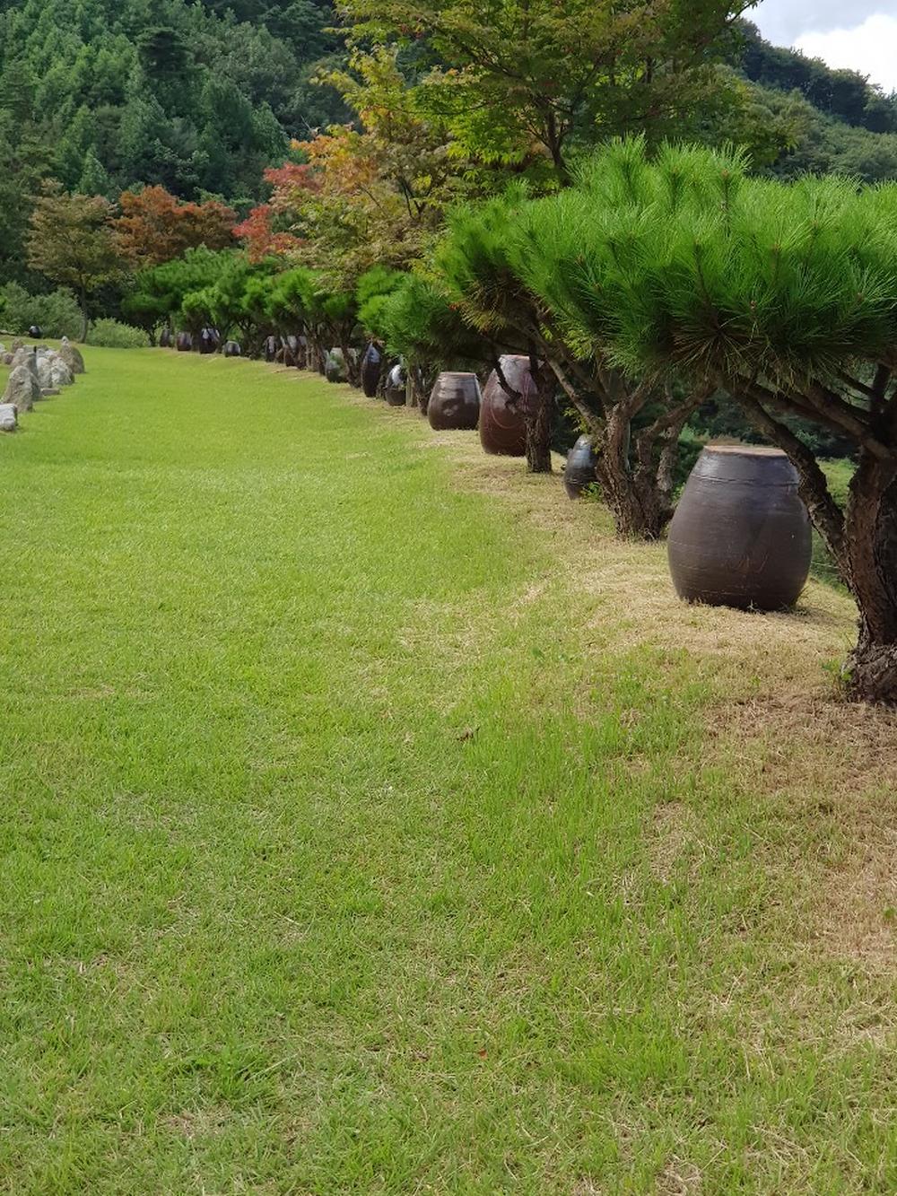 별밤 야영장