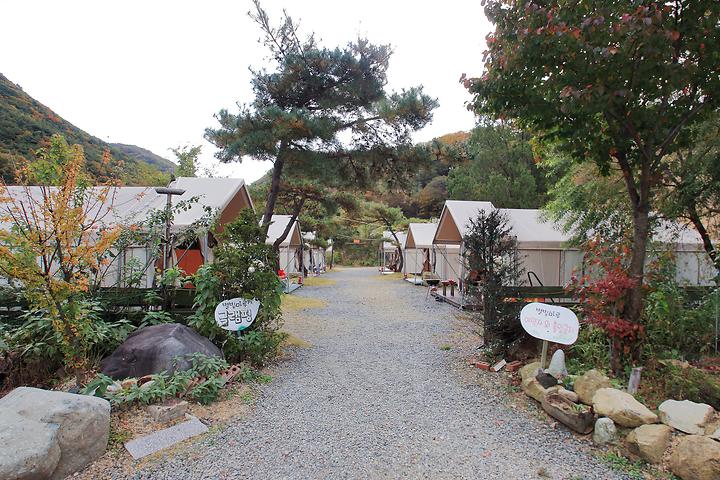 성산 자연숲캠핑장