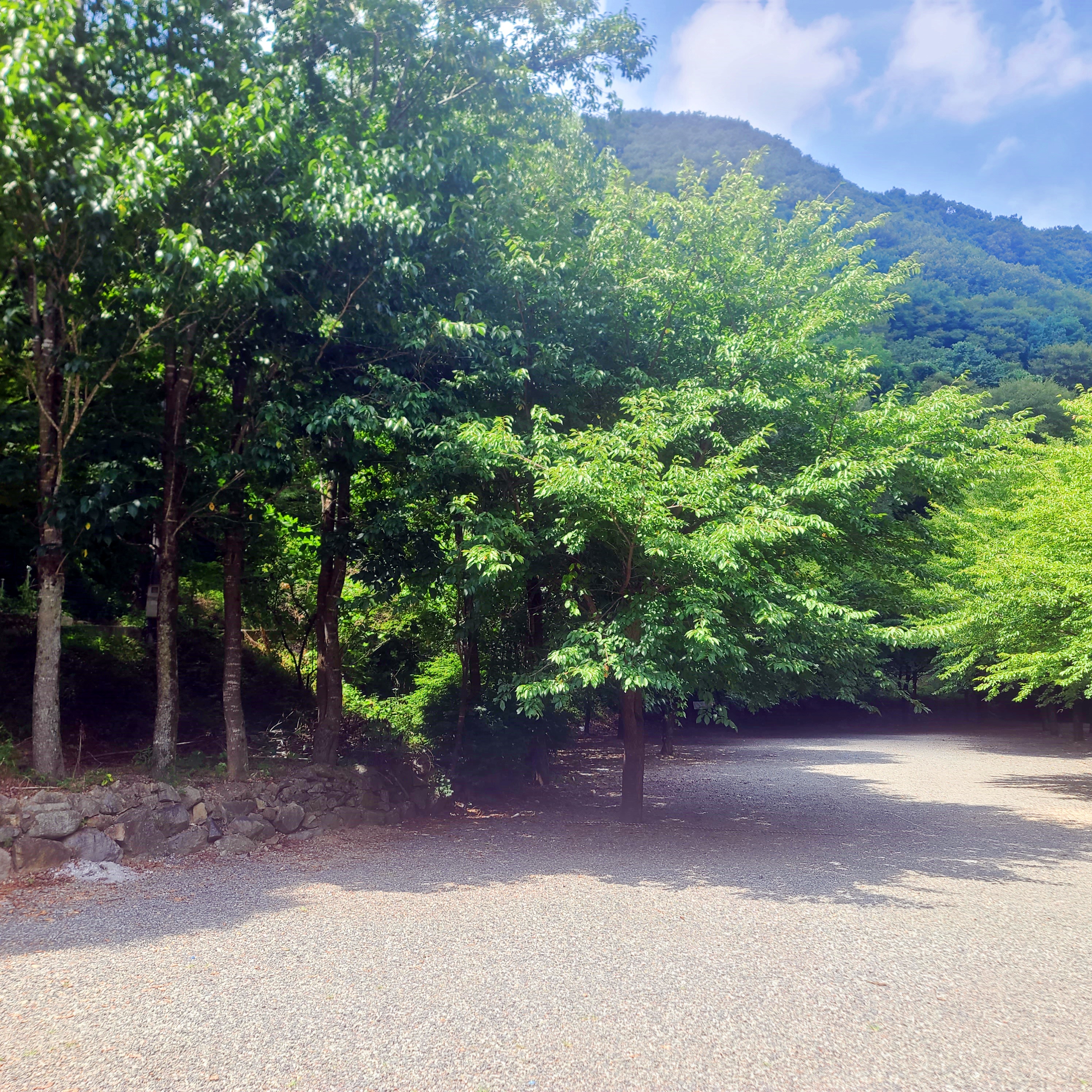 별삼킨별캠핑장 9번째 이미지