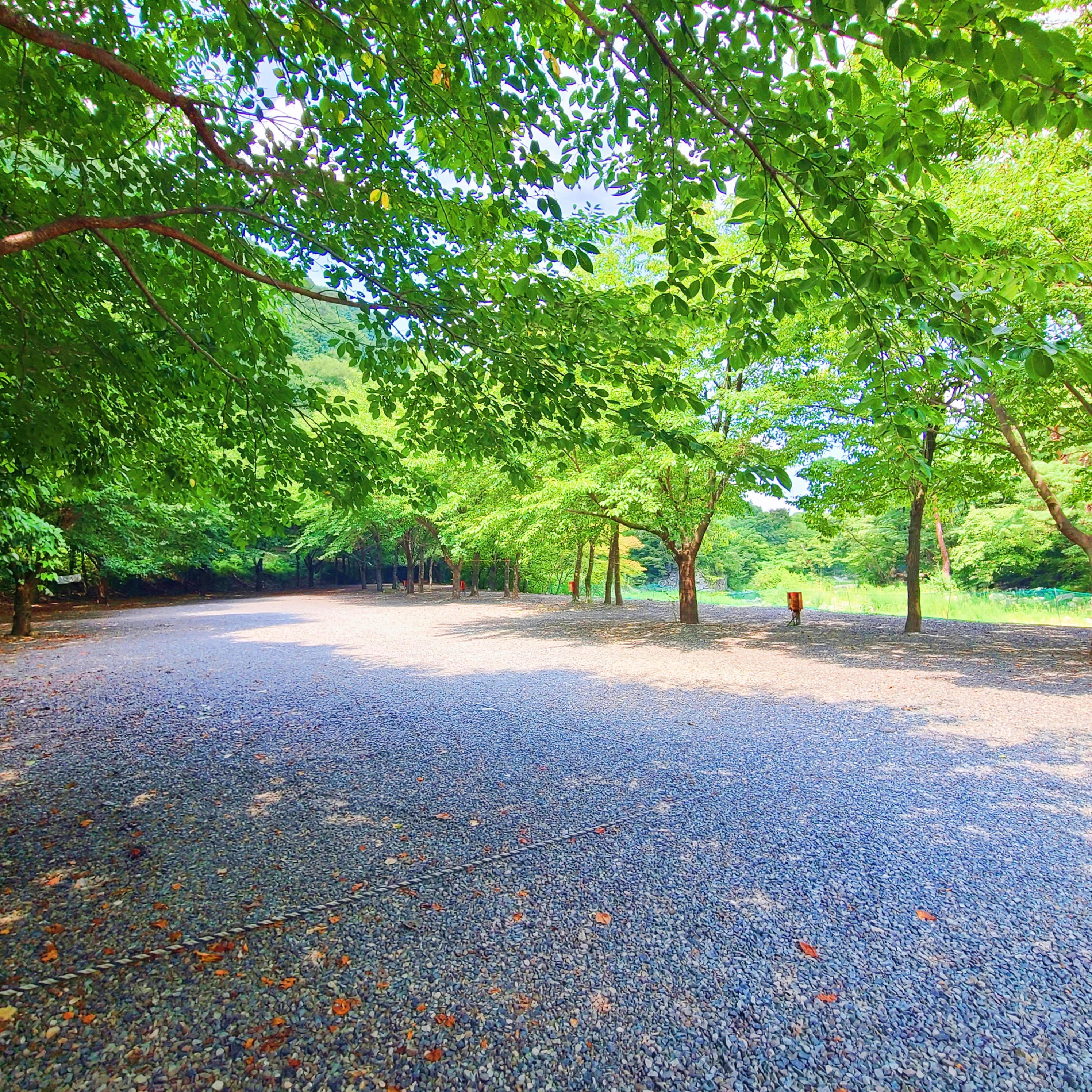 별삼킨별캠핑장 2번째 이미지