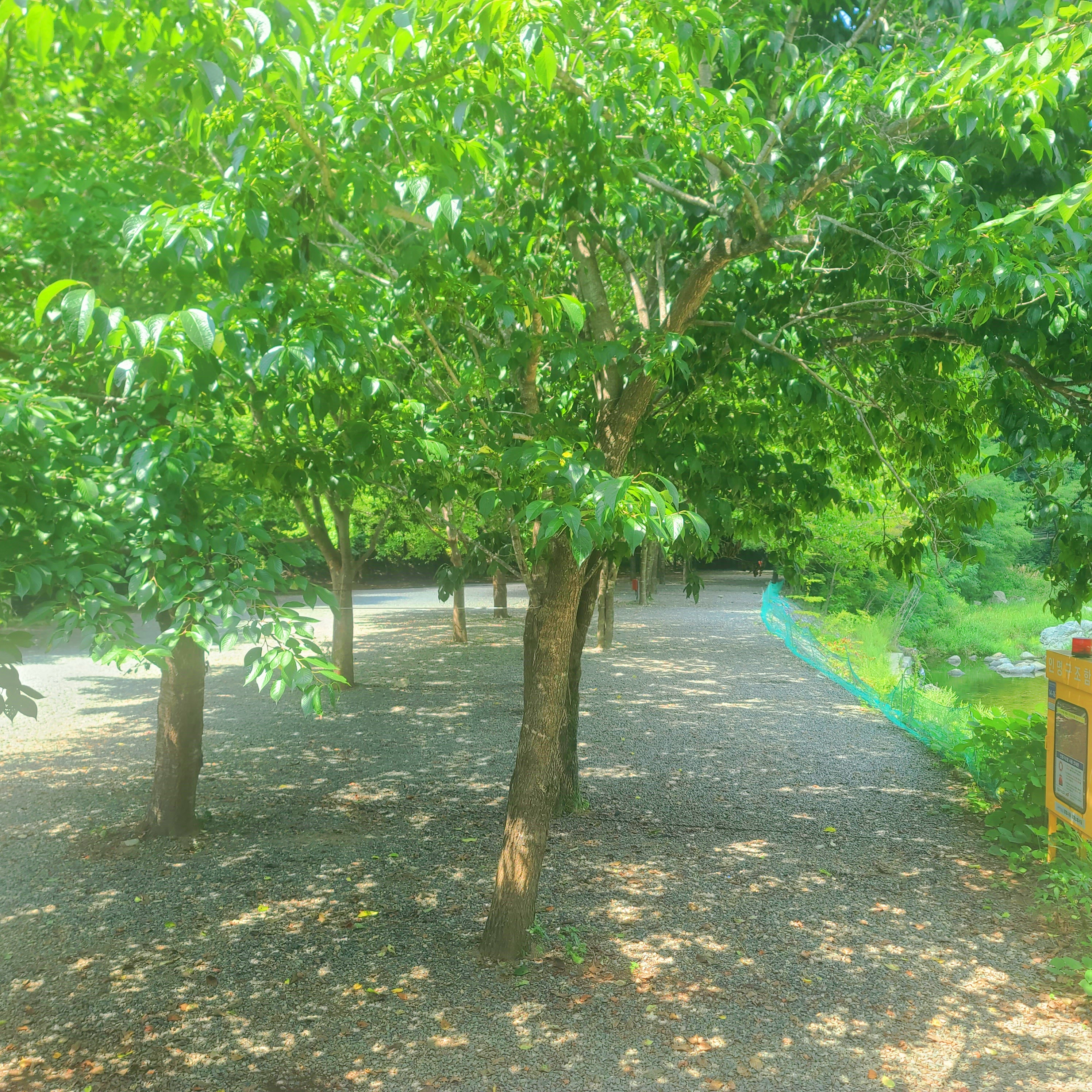 별삼킨별캠핑장 7번째 이미지