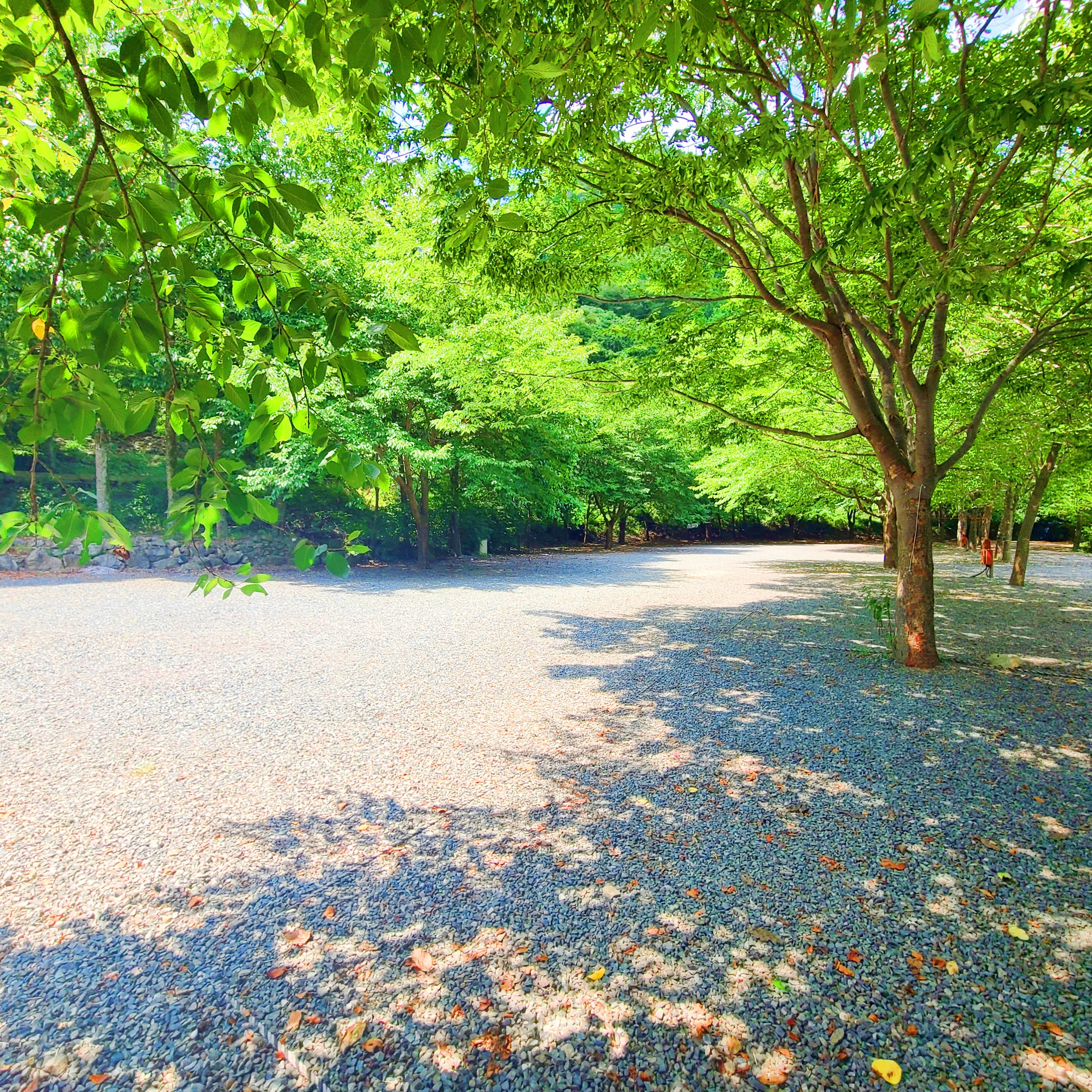 별삼킨별캠핑장 3번째 이미지