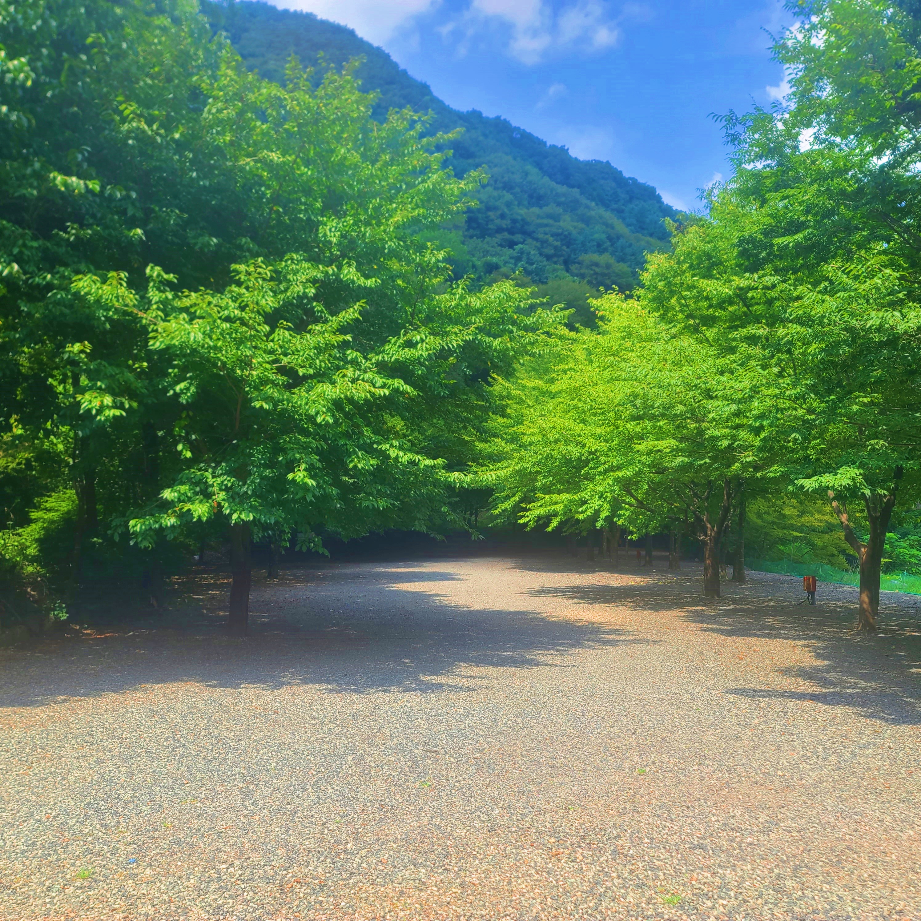 별삼킨별캠핑장 10번째 이미지