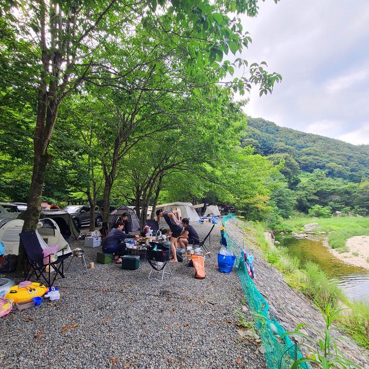 별삼킨별캠핑장 - 경북 남부 와이파이 되는 캠핑장 위치 및 정보