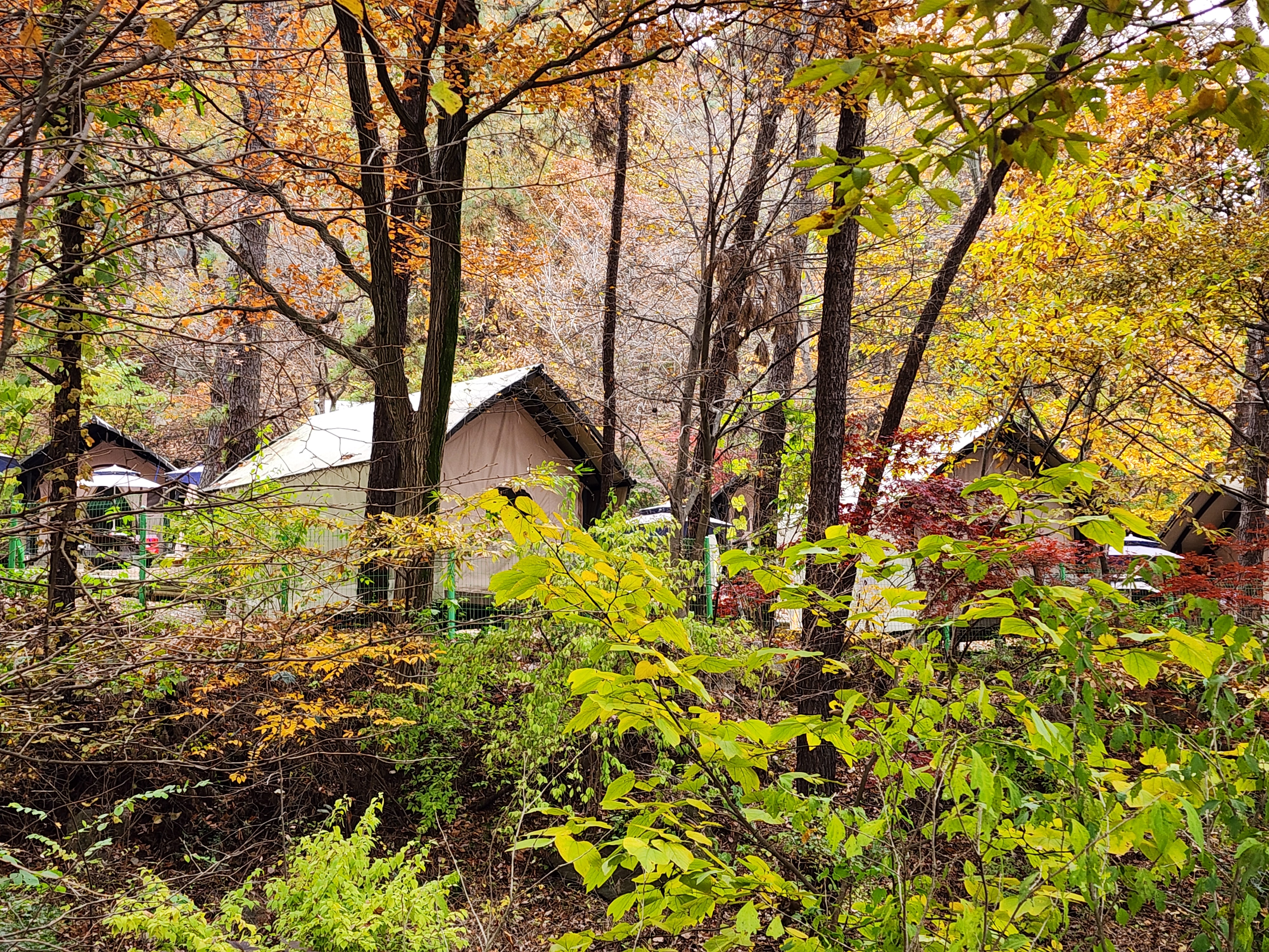 병목안캠핑장 35번째 이미지