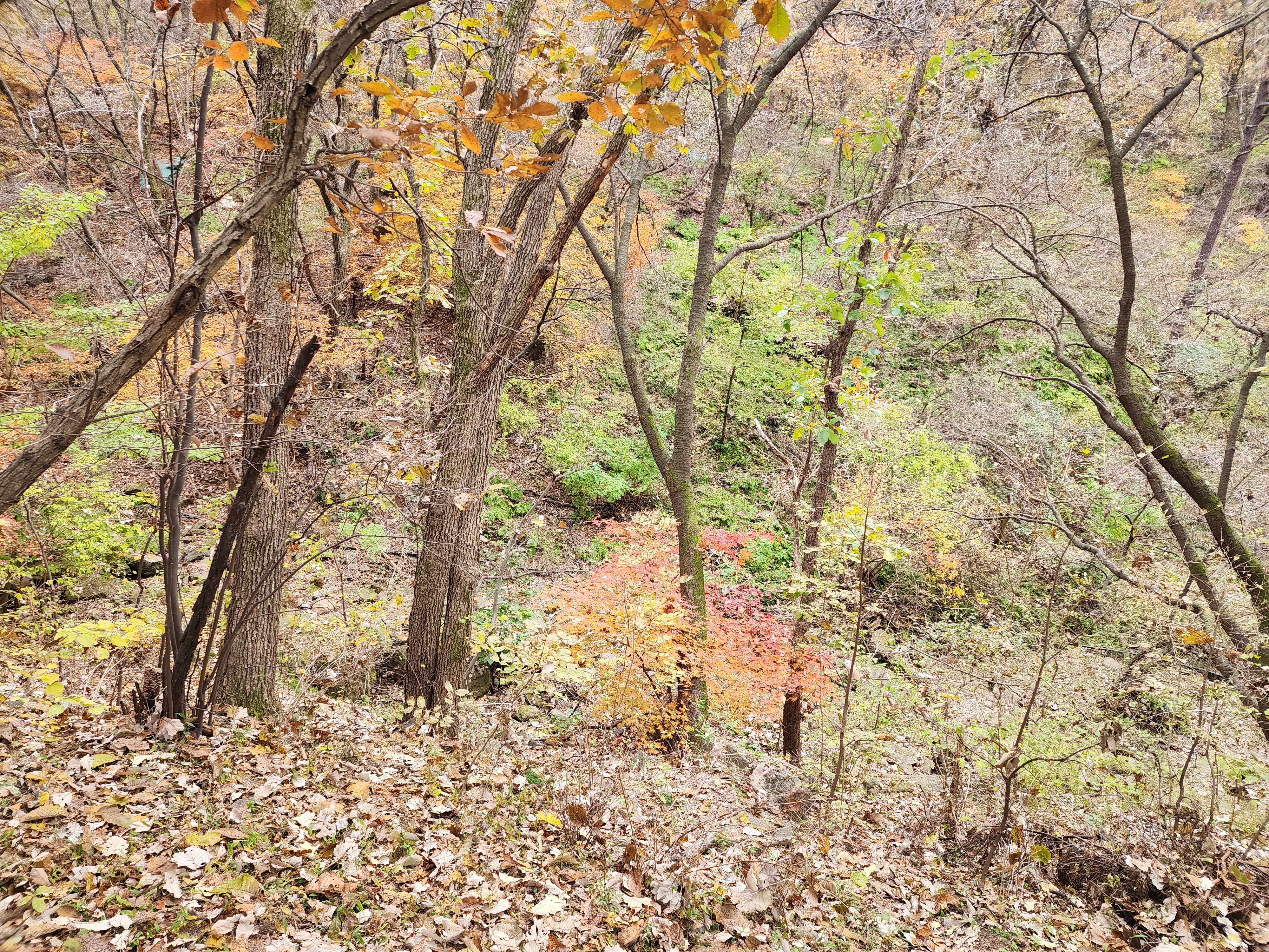 병목안캠핑장 14번째 이미지