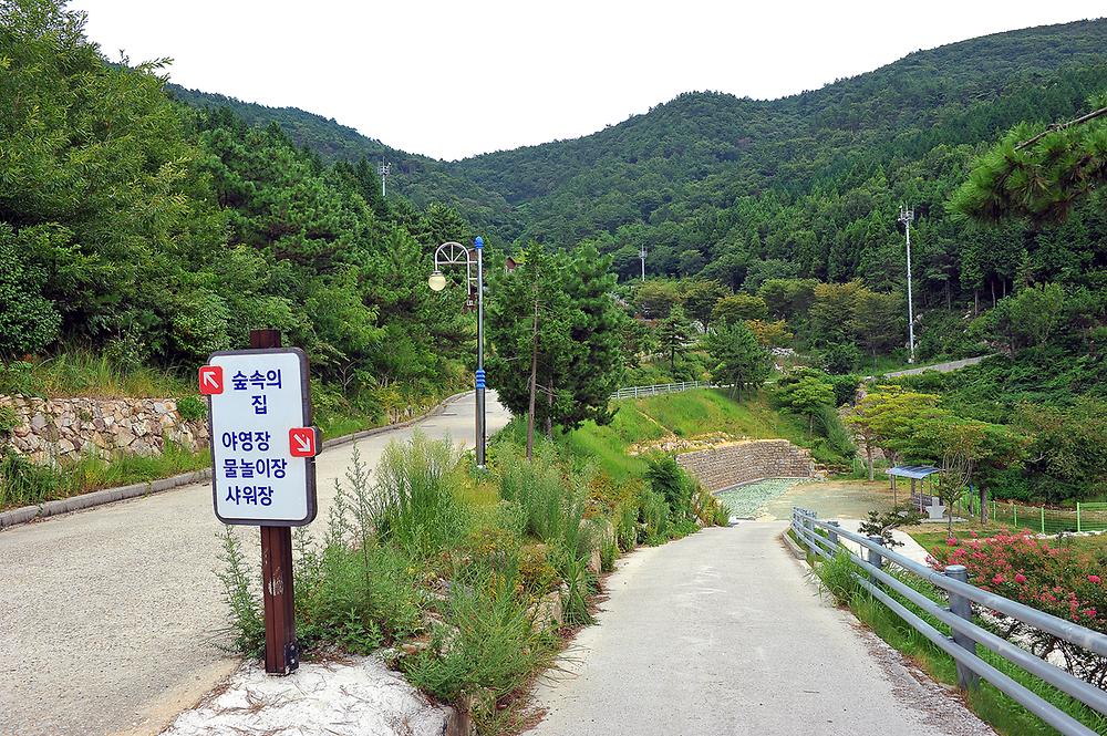 봉황산자연휴양림 야영장