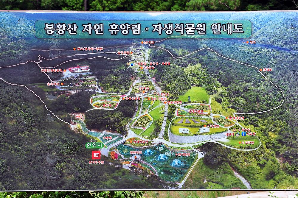 봉황산자연휴양림 야영장