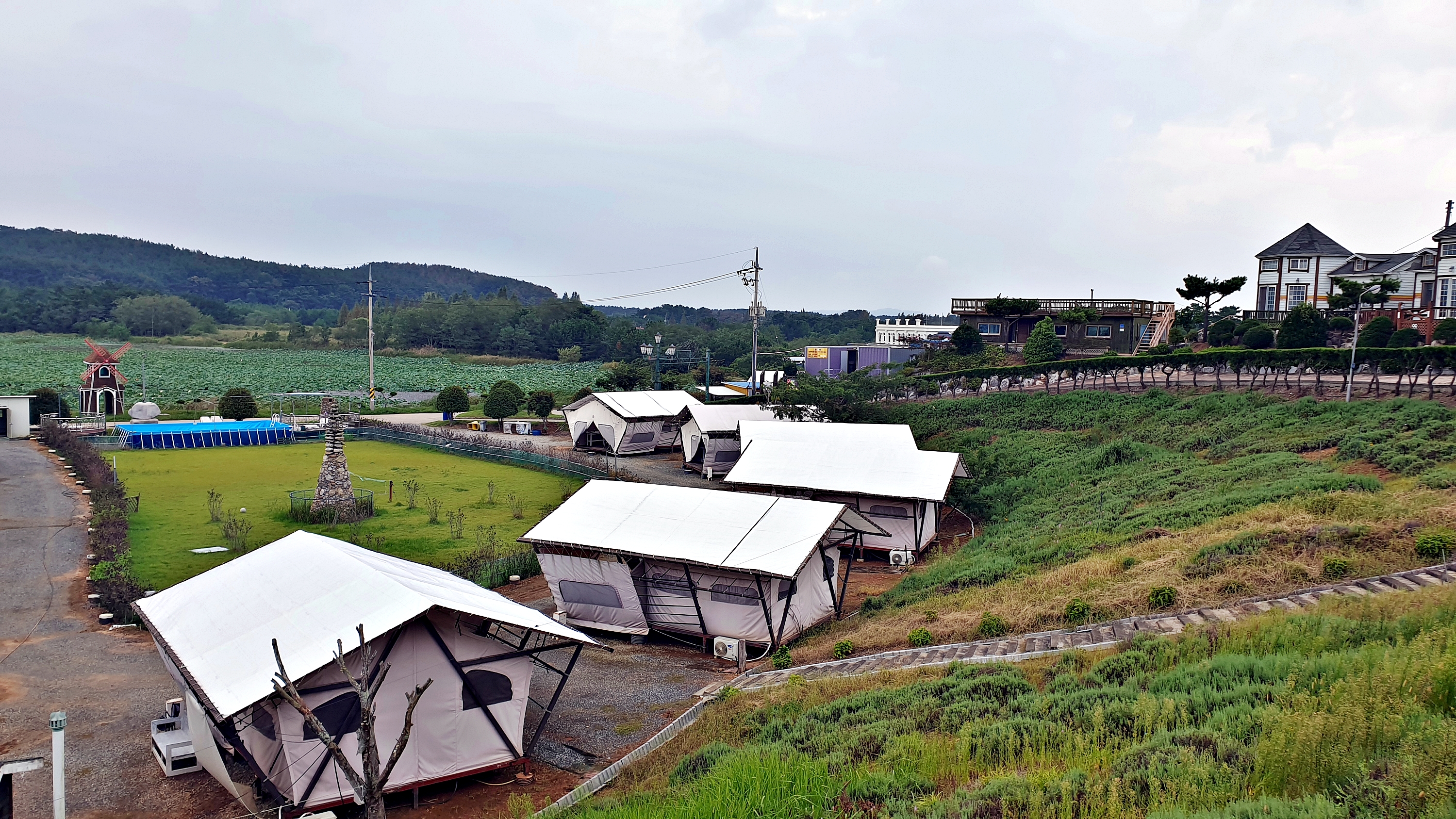 태안 안면도 비비애견동반캠핑장 26번째 이미지