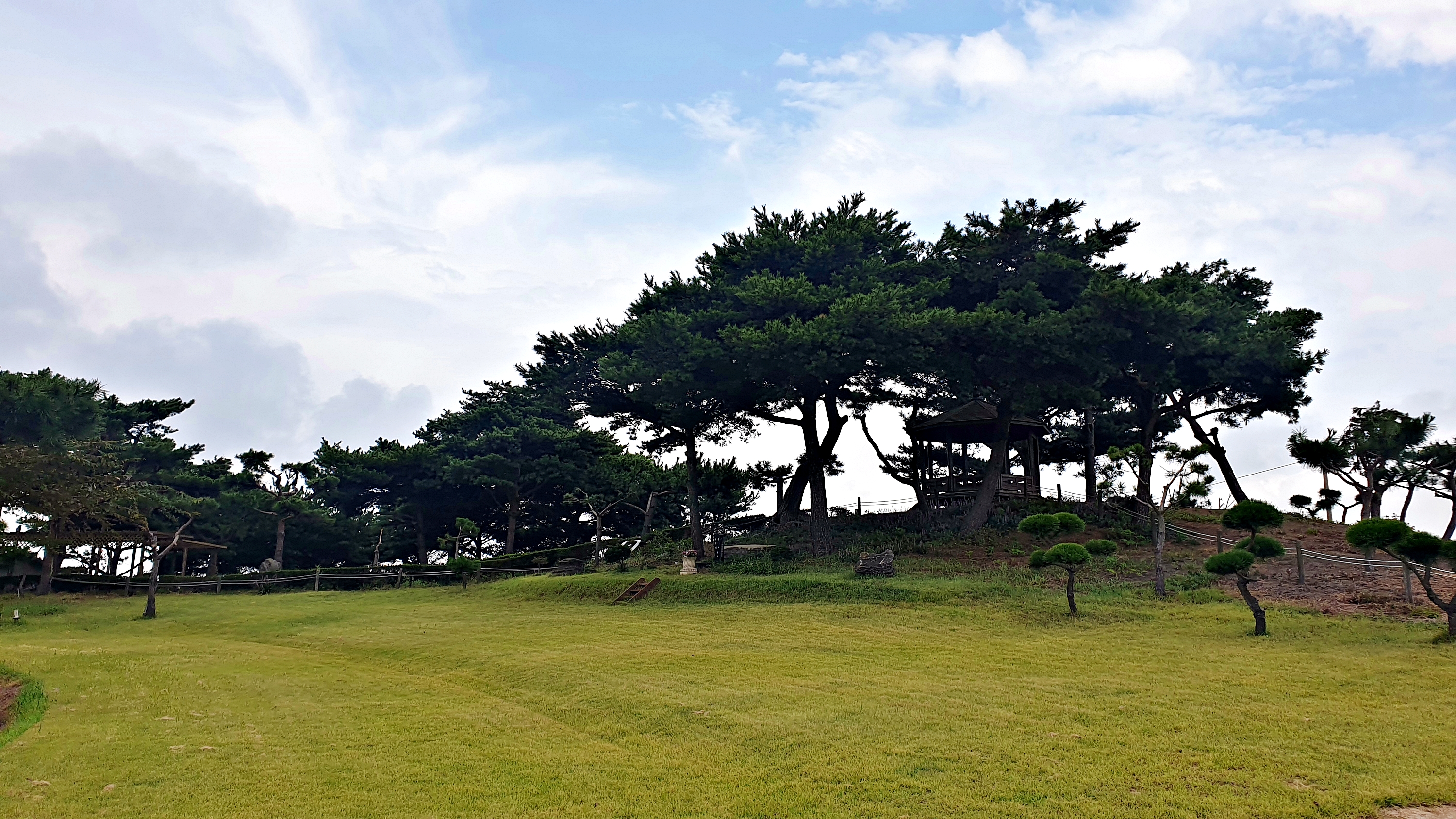 태안 안면도 비비애견동반캠핑장 18번째 이미지