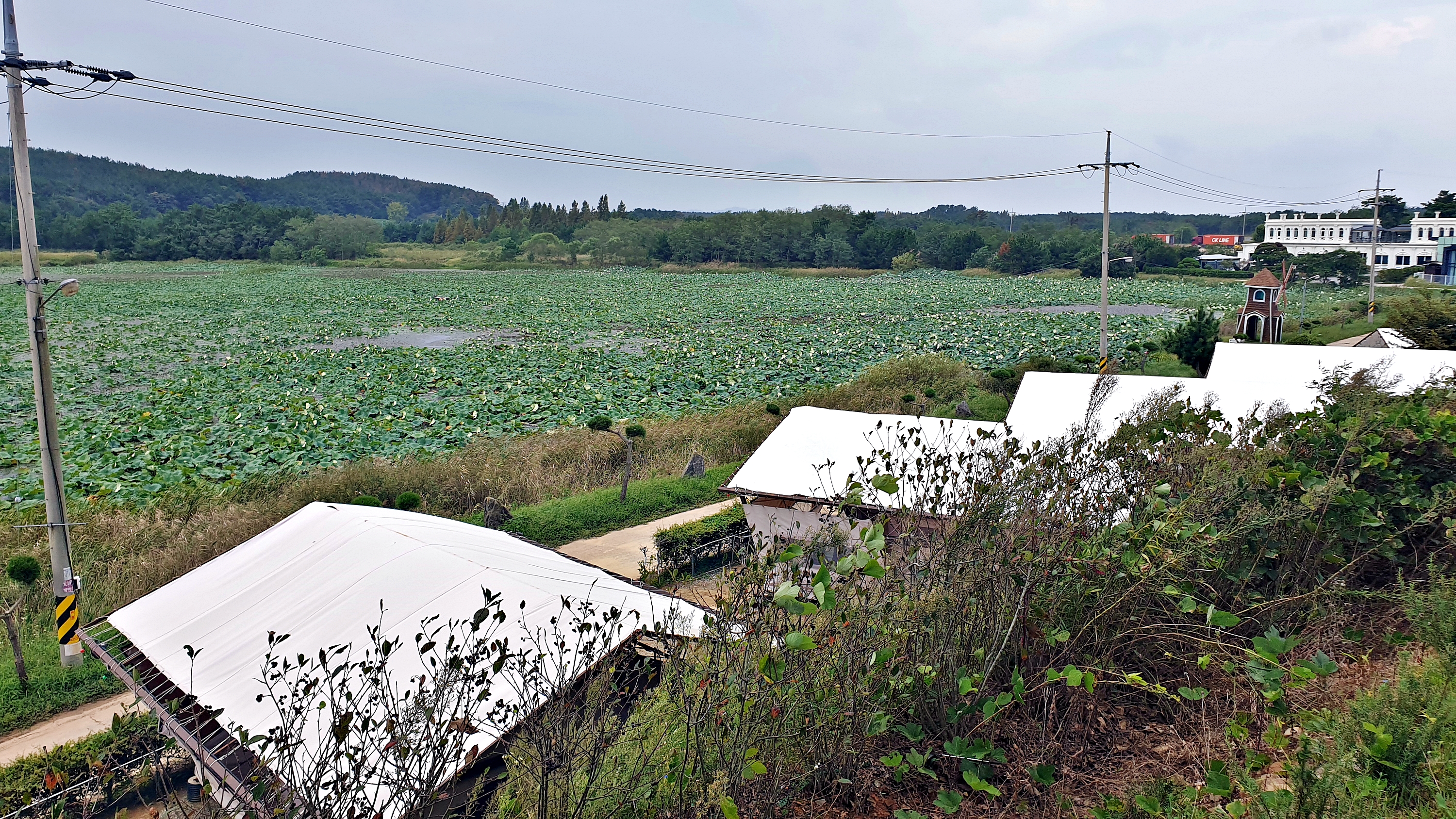 태안 안면도 비비애견동반캠핑장 14번째 이미지