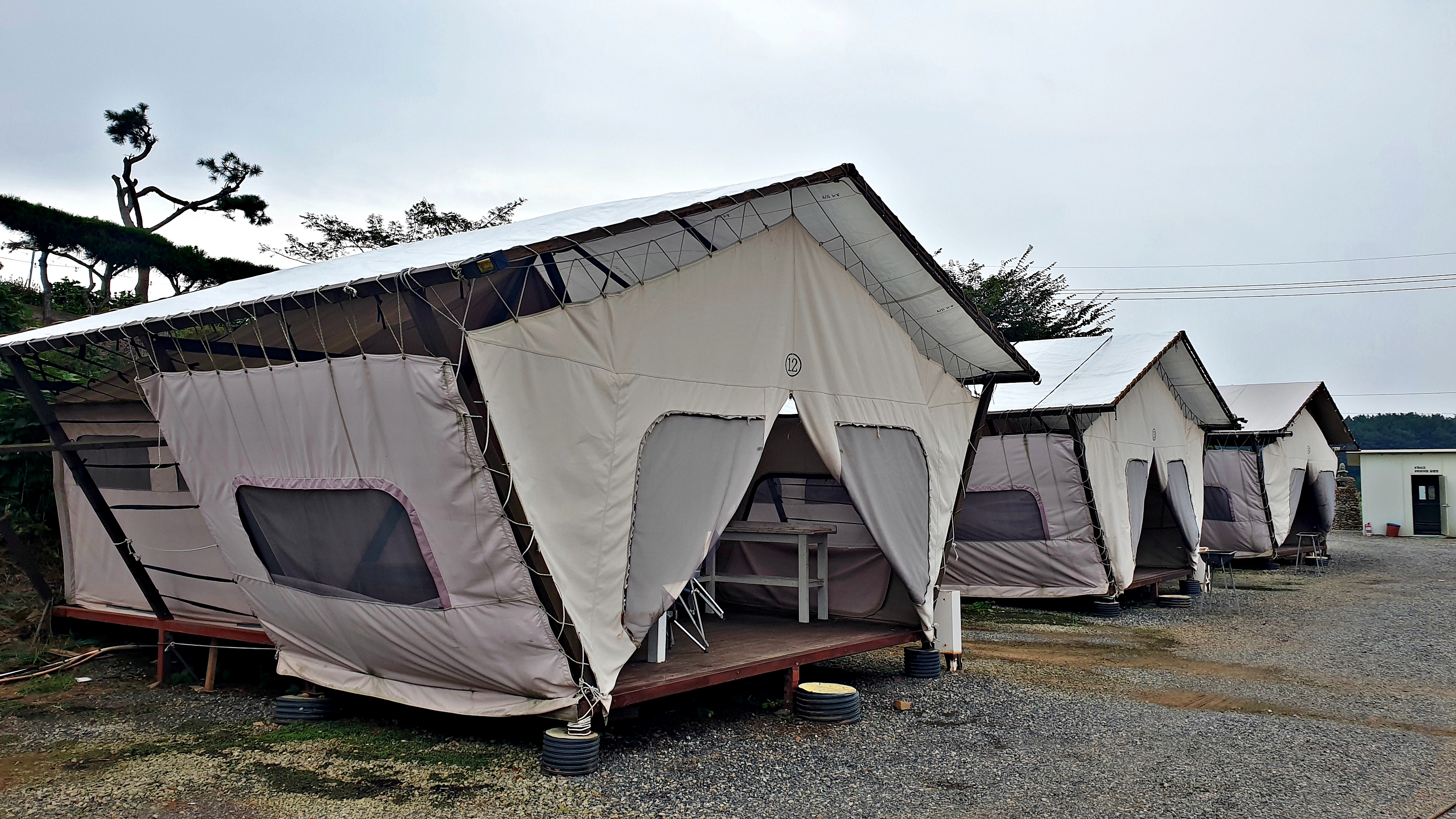 태안 안면도 비비애견동반캠핑장 37번째 이미지