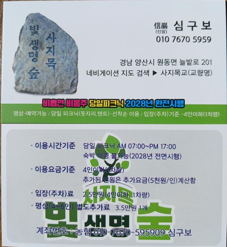 빛 생명 숲 사지목