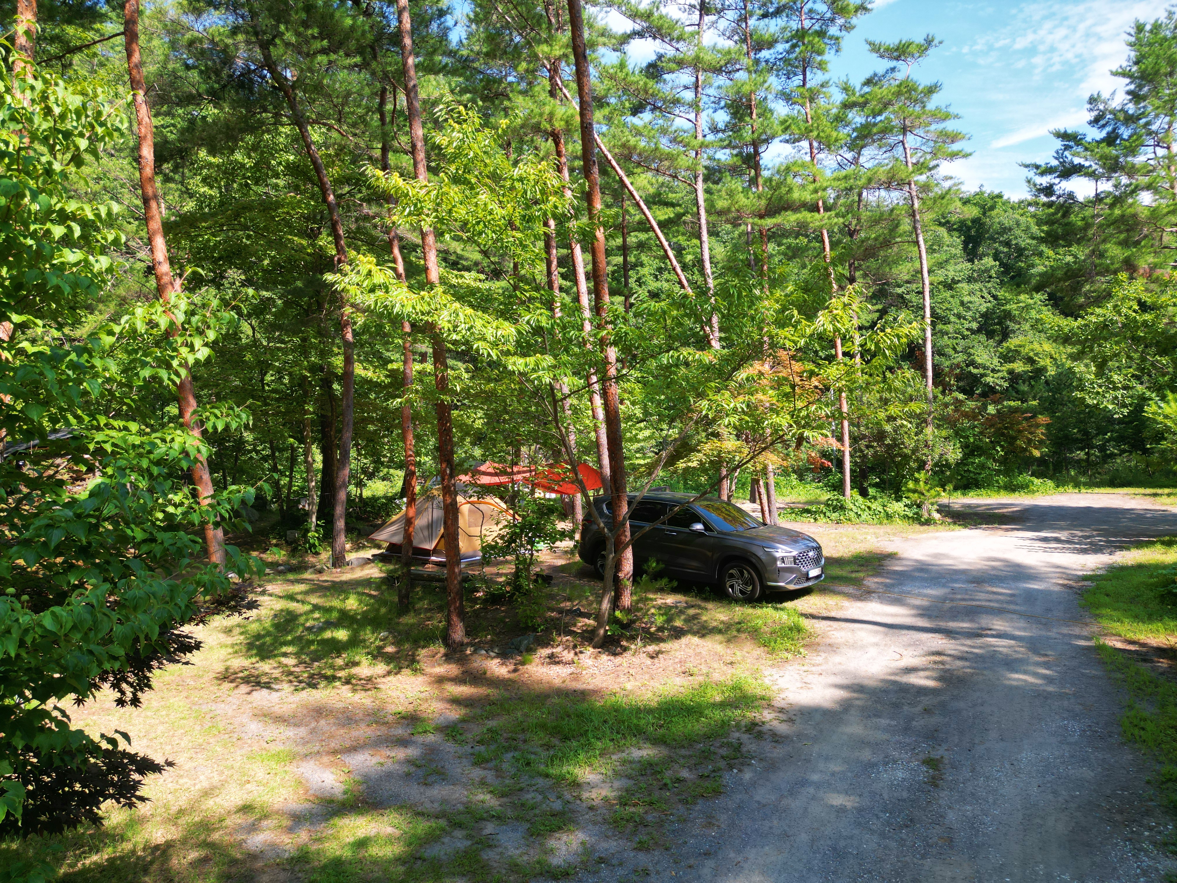 산내들 관광농원 5번째 이미지