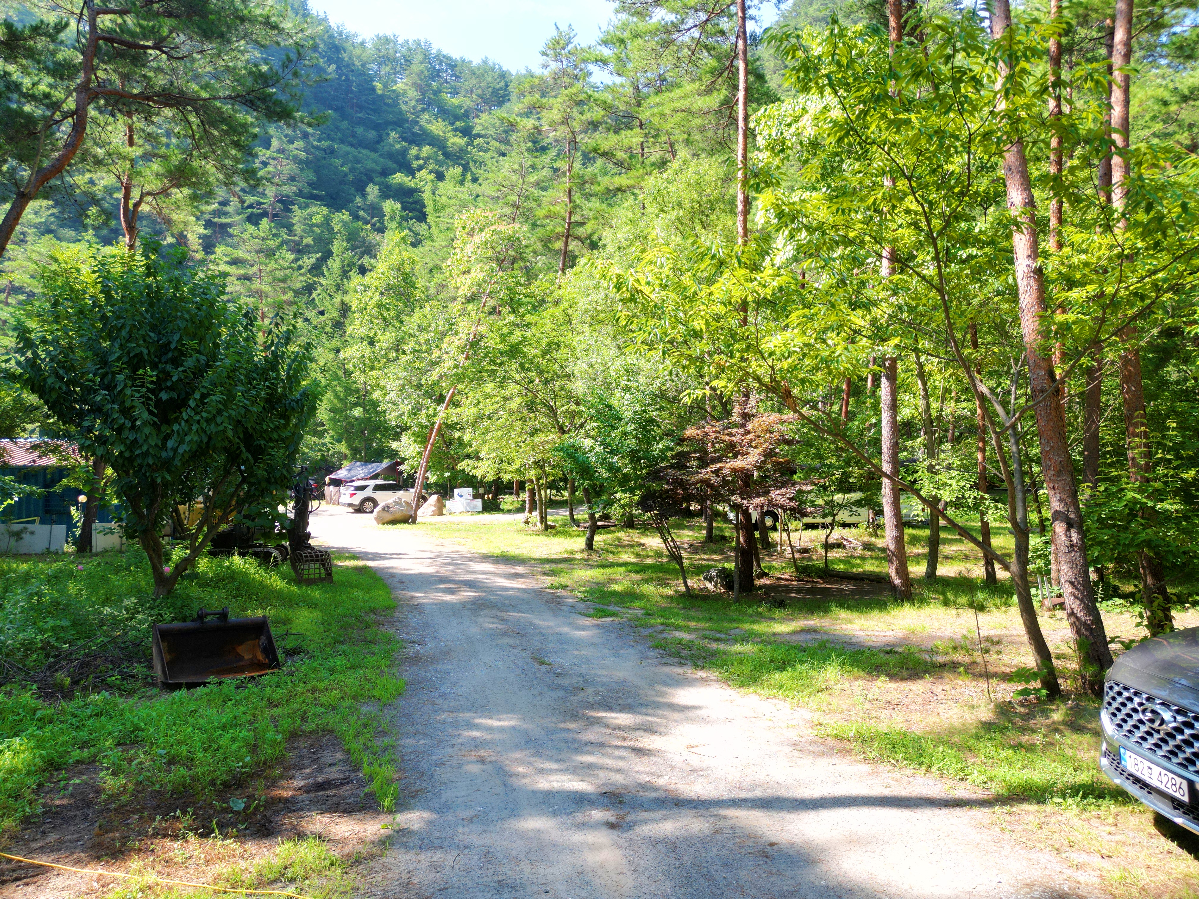산내들 관광농원 7번째 이미지