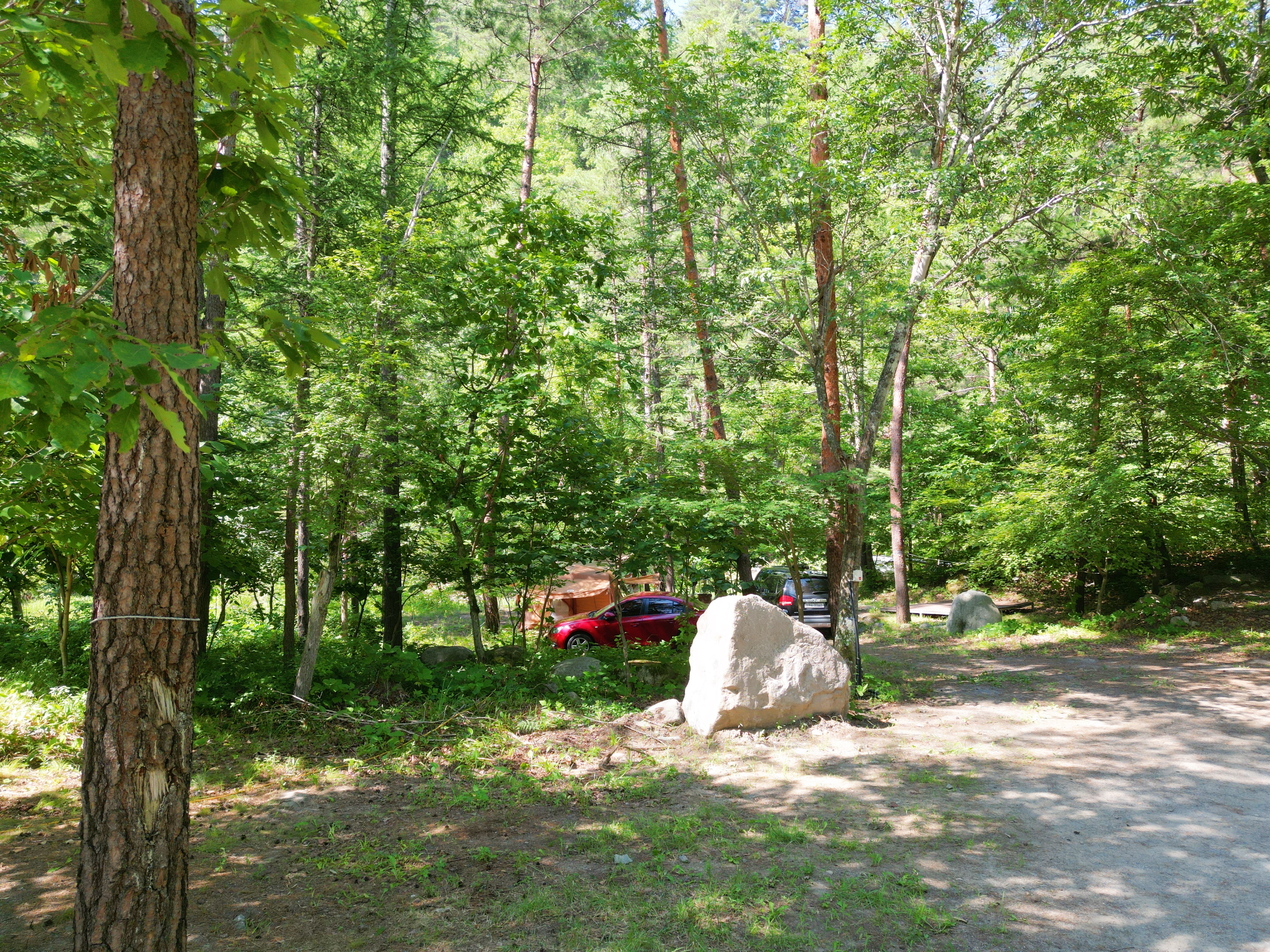 산내들 관광농원 2번째 이미지