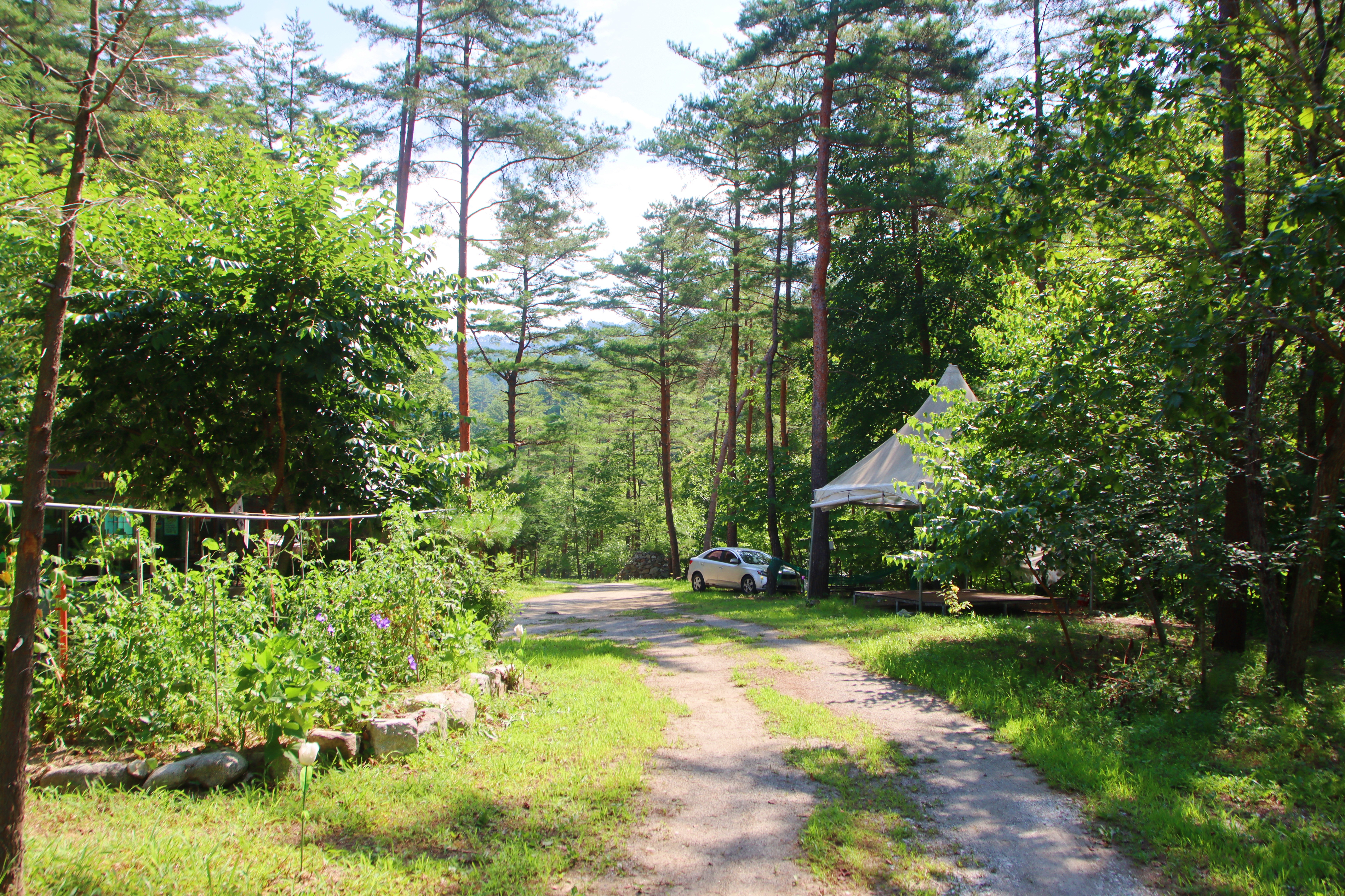 산내들 관광농원 17번째 이미지