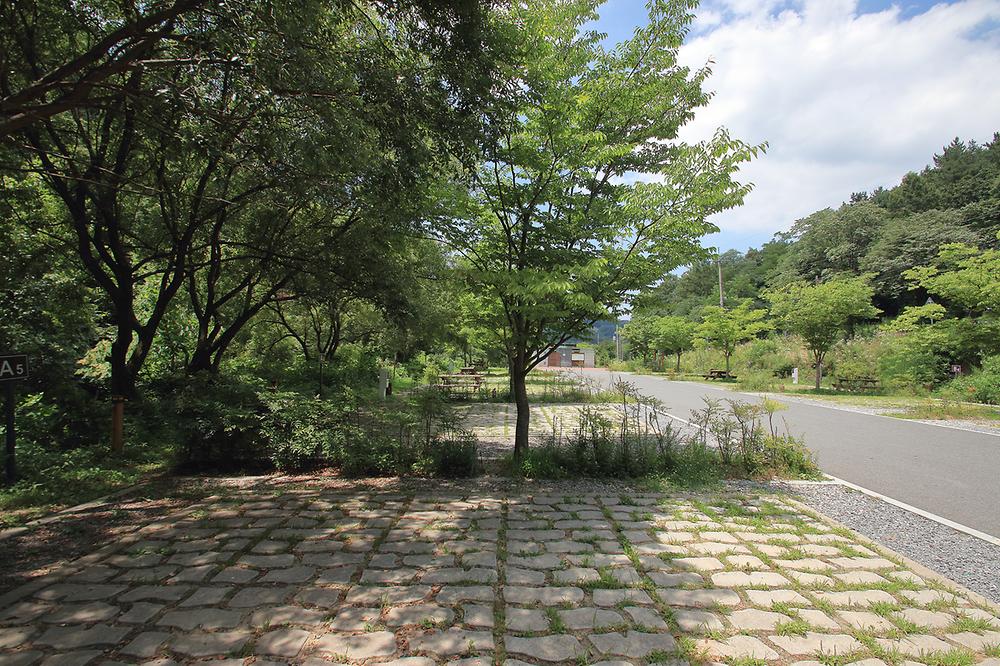 산디마을 생태공원 캠핑장