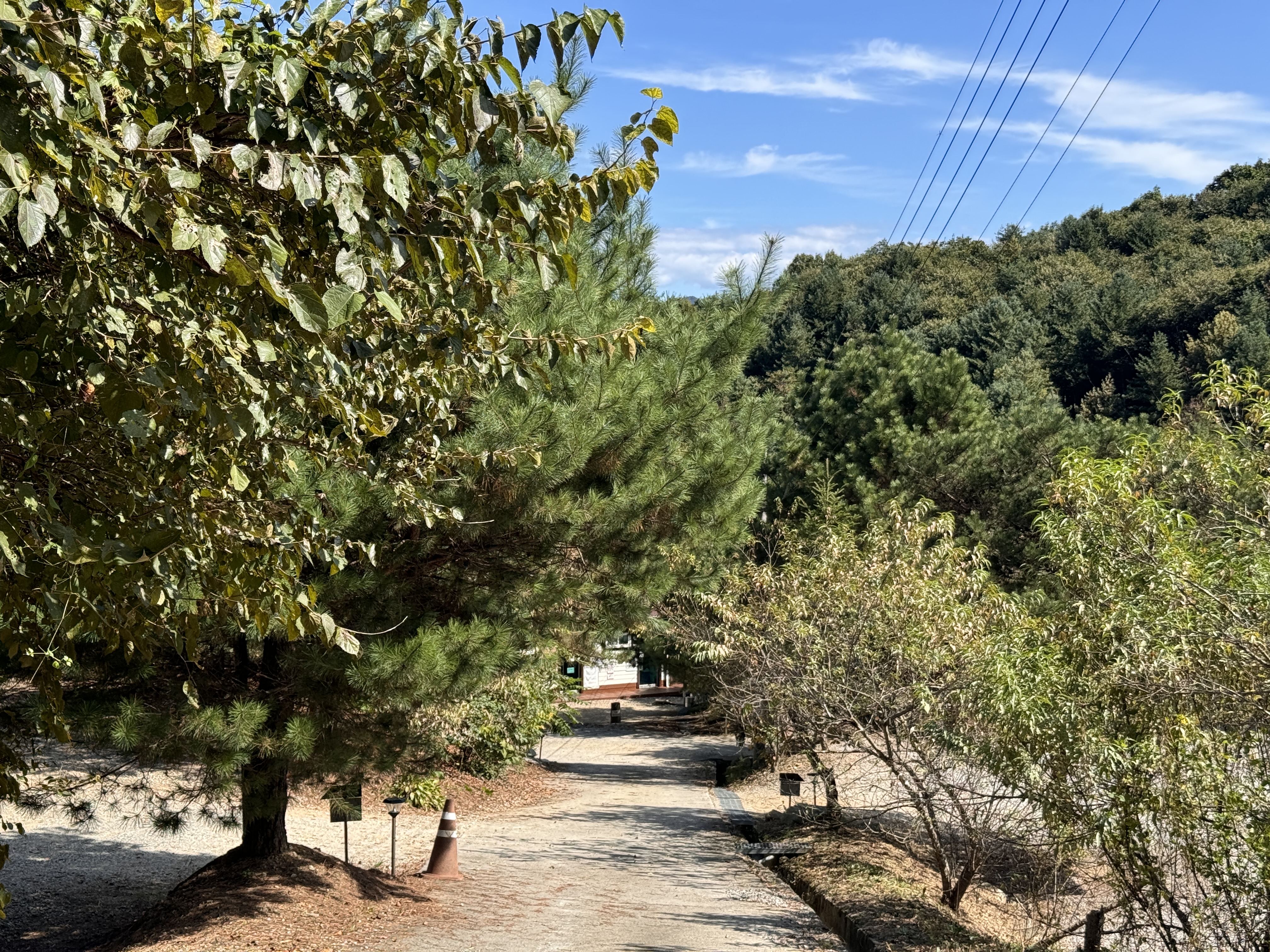 산울림관광농원 이미지 3