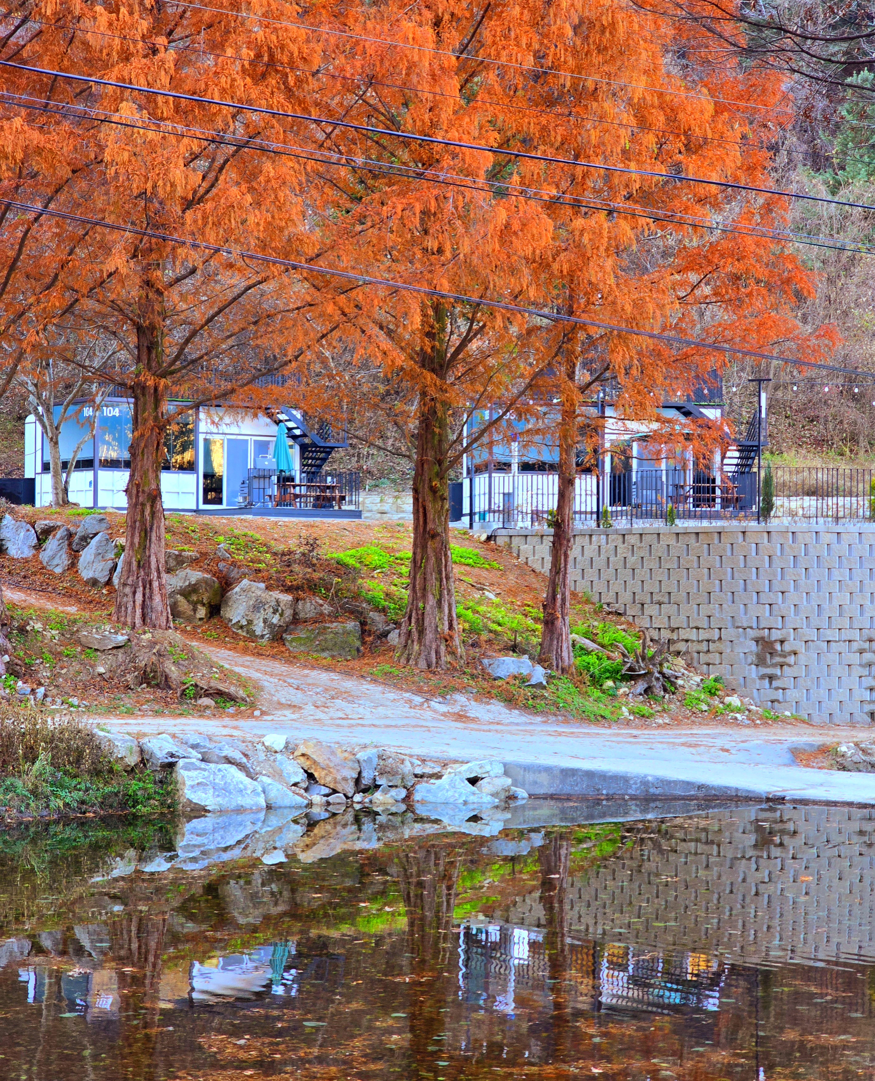 강촌관광농원 이미지