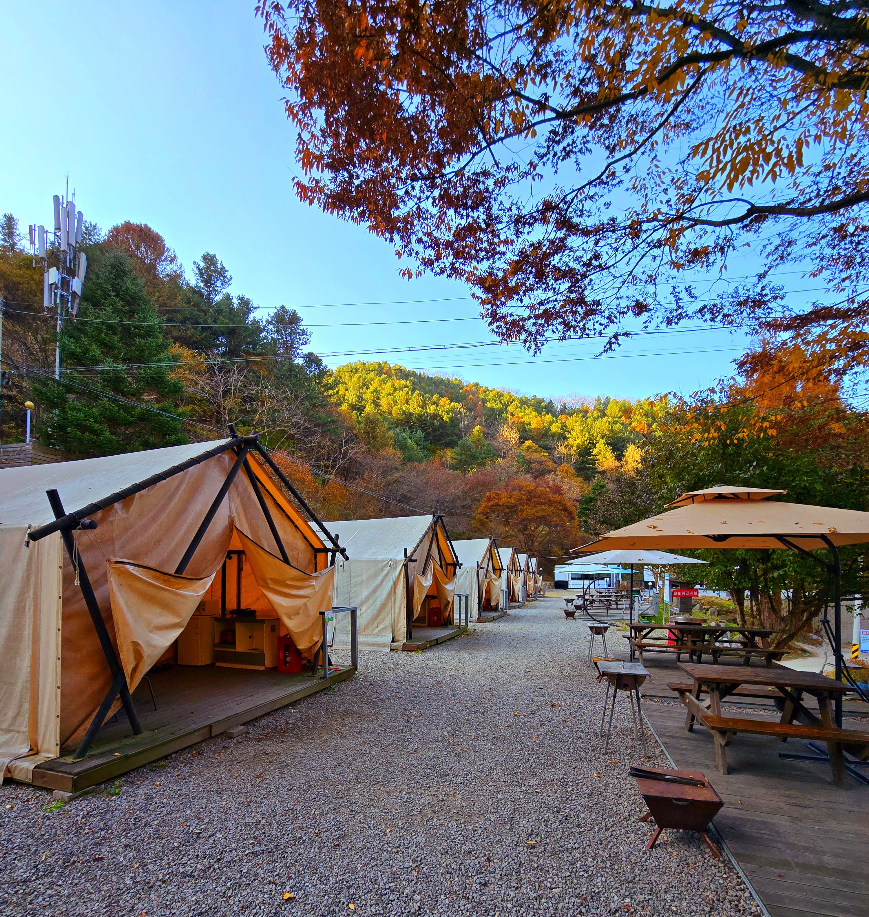 강촌관광농원 이미지