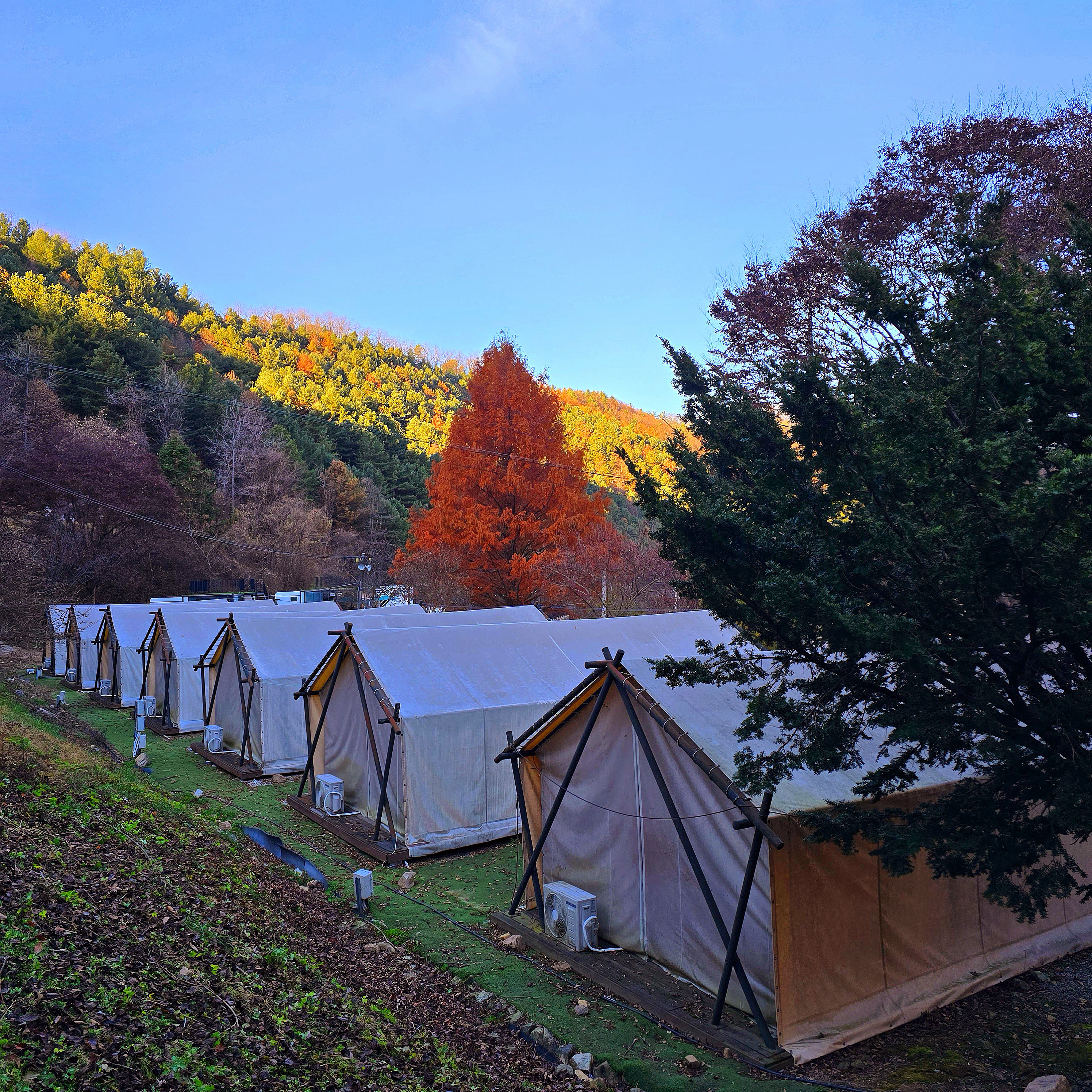 강촌관광농원 이미지