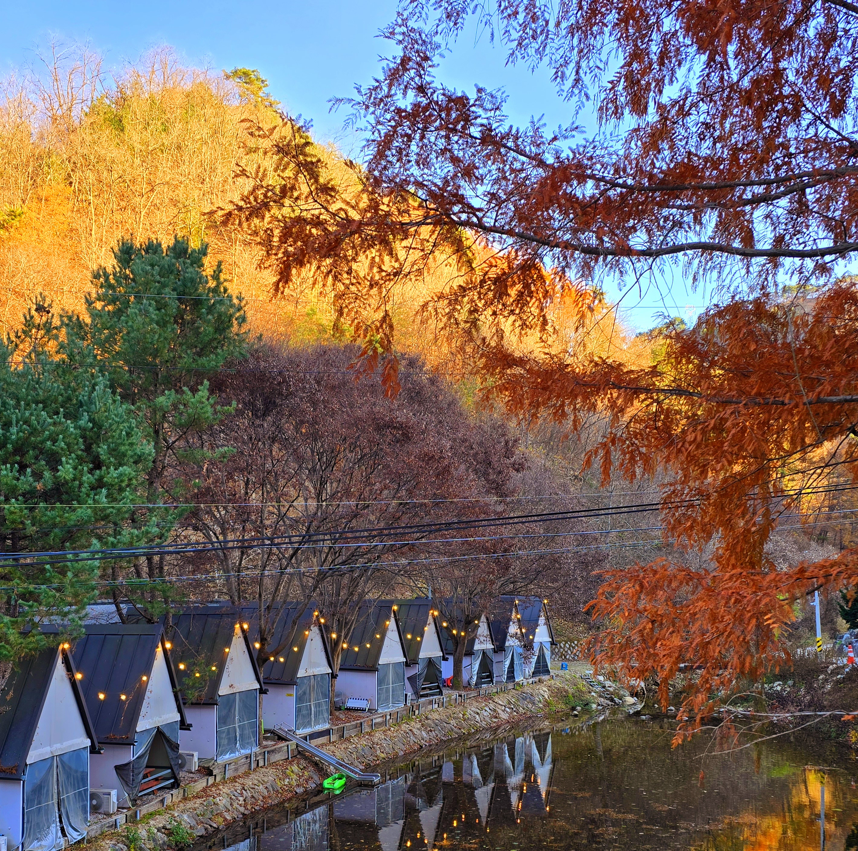 강촌관광농원 이미지