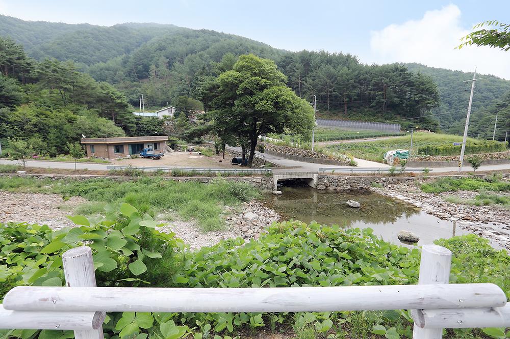 석문 오토캠핑장