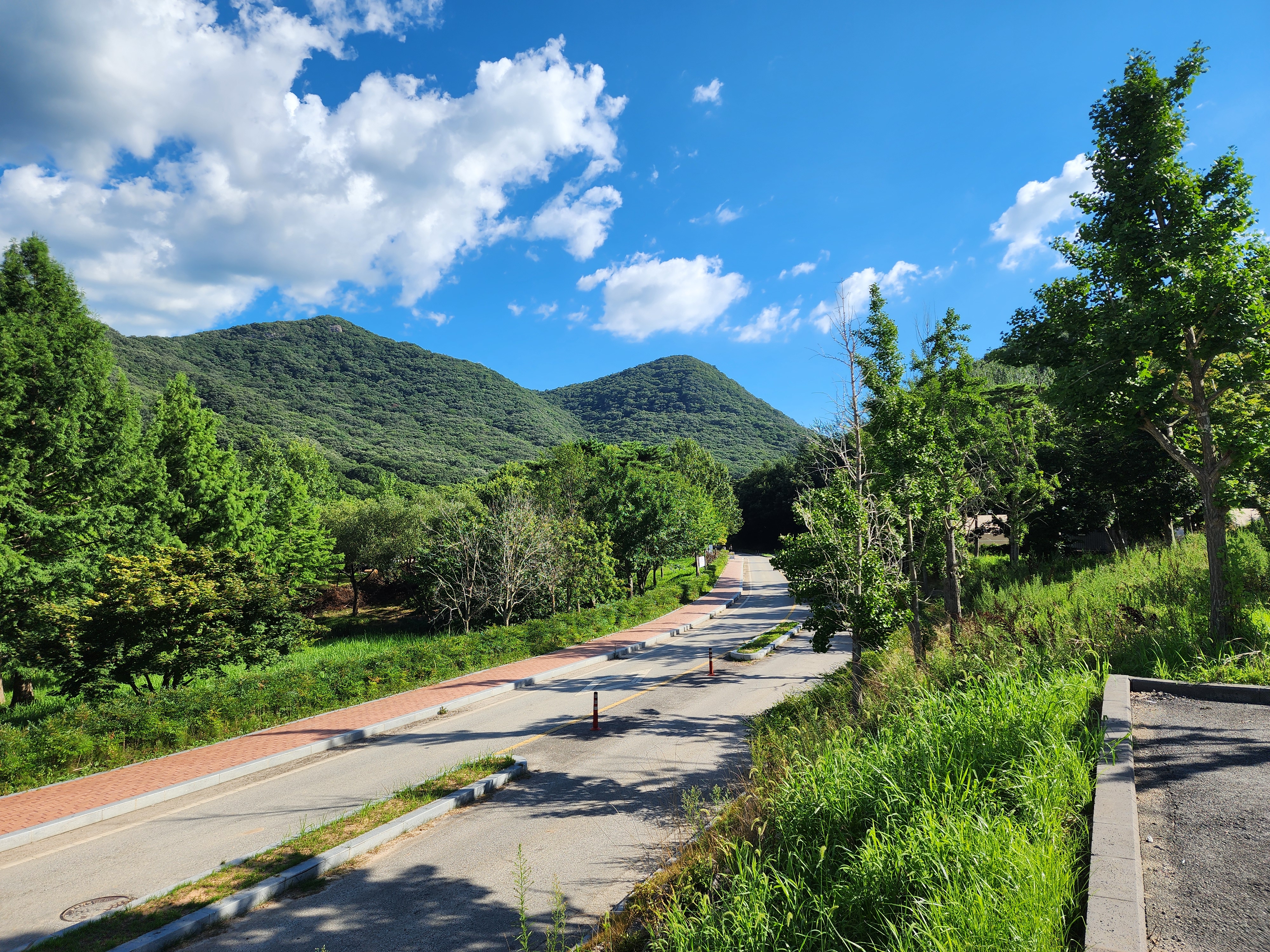 선운산도립공원야영장 10번째 이미지