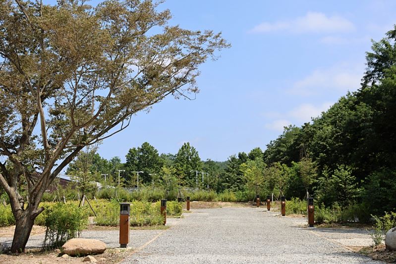 설악동자동차야영장 이미지