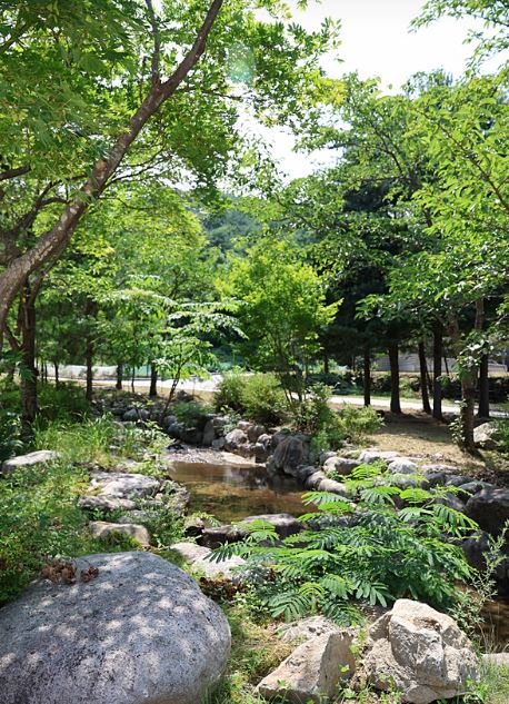 설악동자동차야영장 이미지