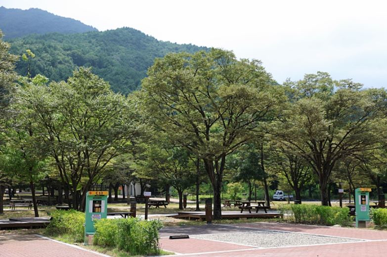 설악동자동차야영장 가을 풍경