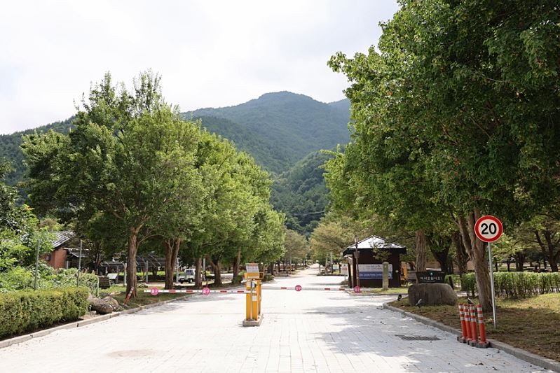 설악동자동차야영장 이미지