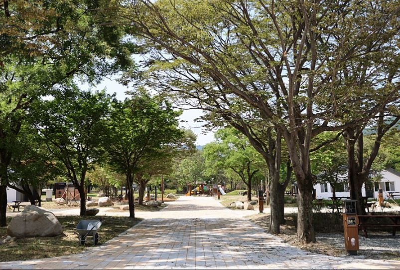 설악동자동차야영장 야외 사이트