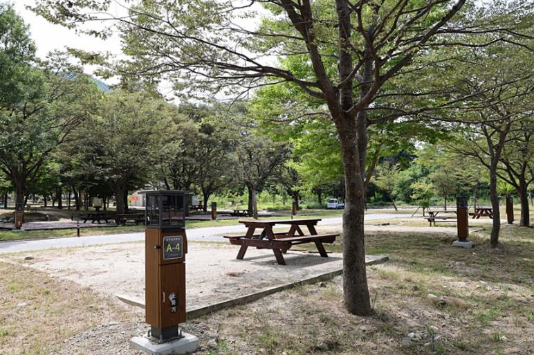 설악동자동차야영장 이미지