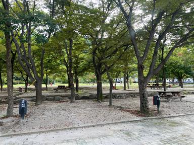 캠핑장소개 이미지