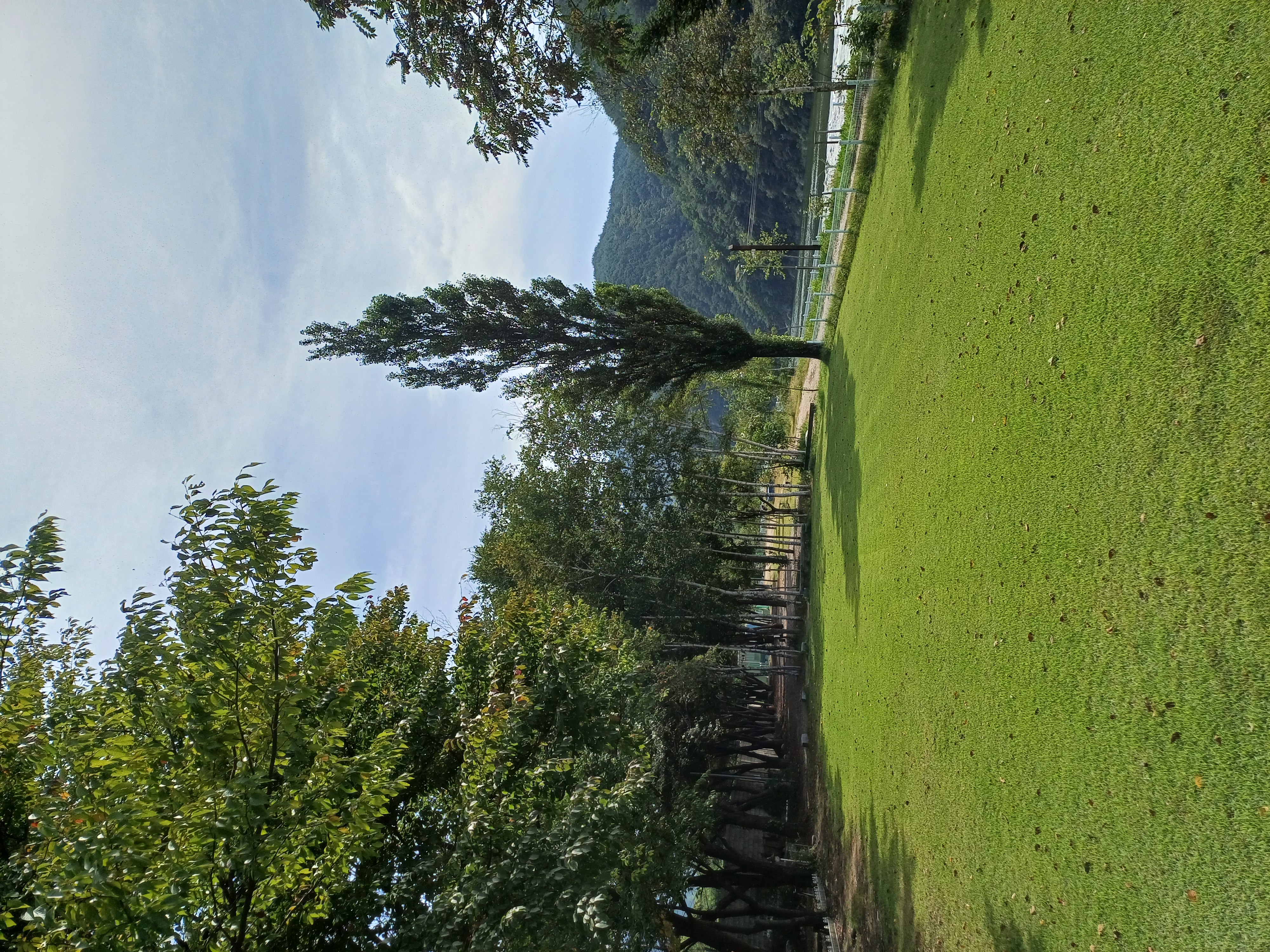 설하관광농원 6번째 이미지