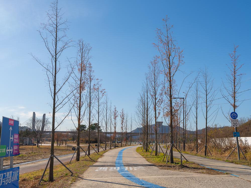 세종 합강캠핑장