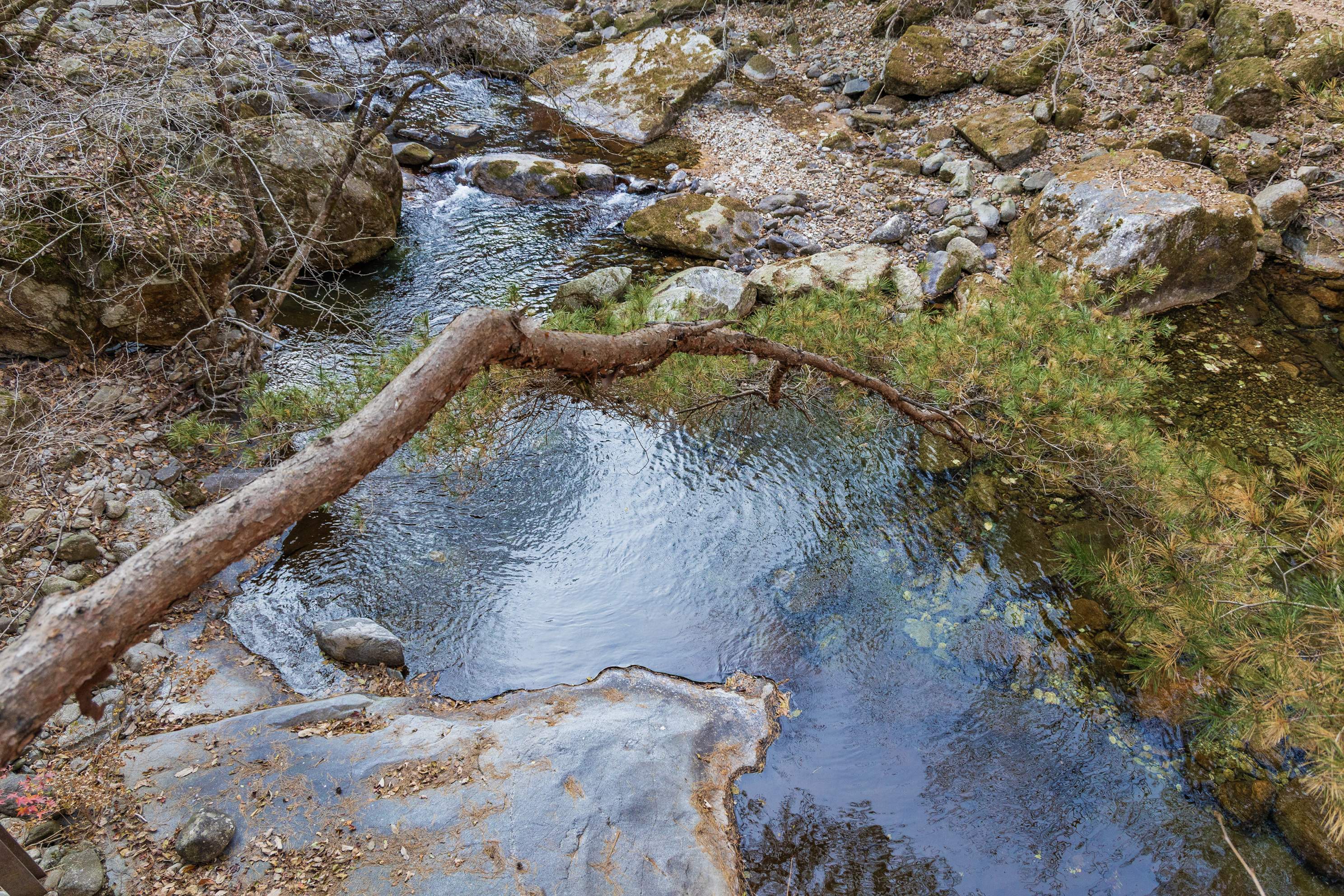 소백산국립공원 남천야영장 3번째 이미지