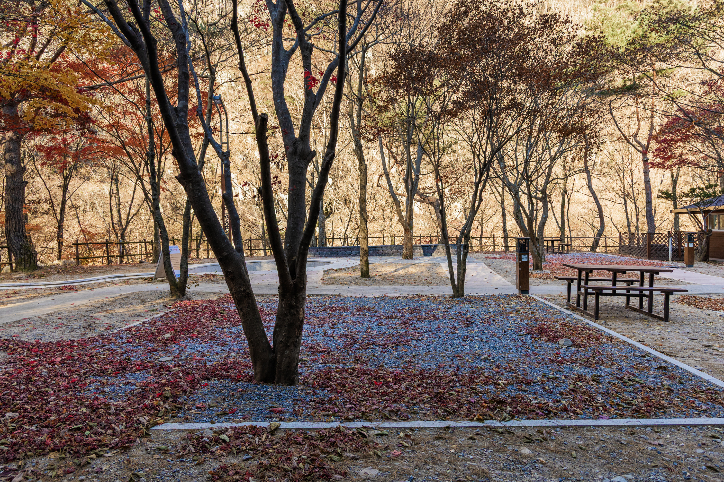 소백산국립공원 남천야영장 25번째 이미지