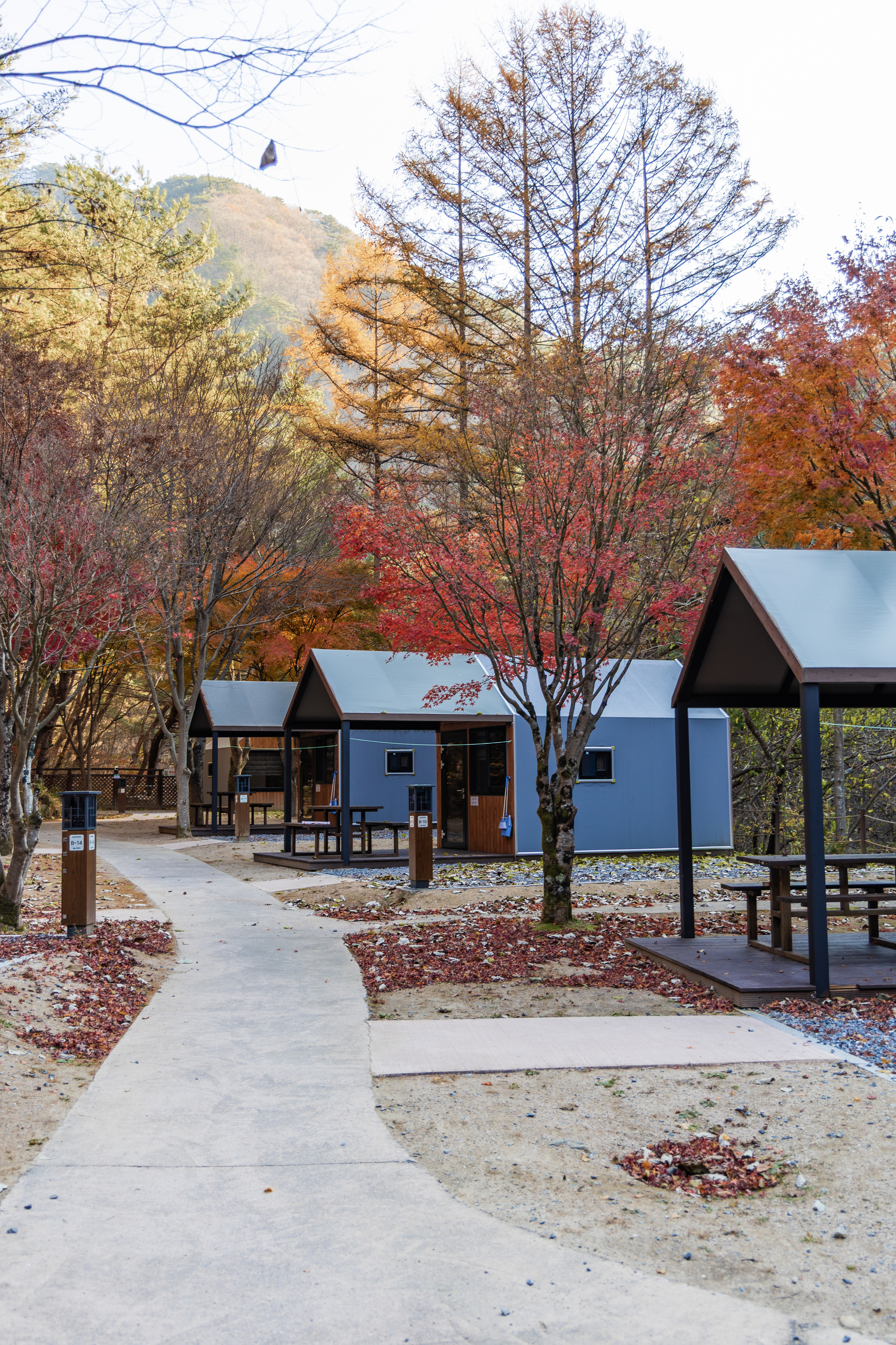 소백산국립공원 남천야영장 17번째 이미지