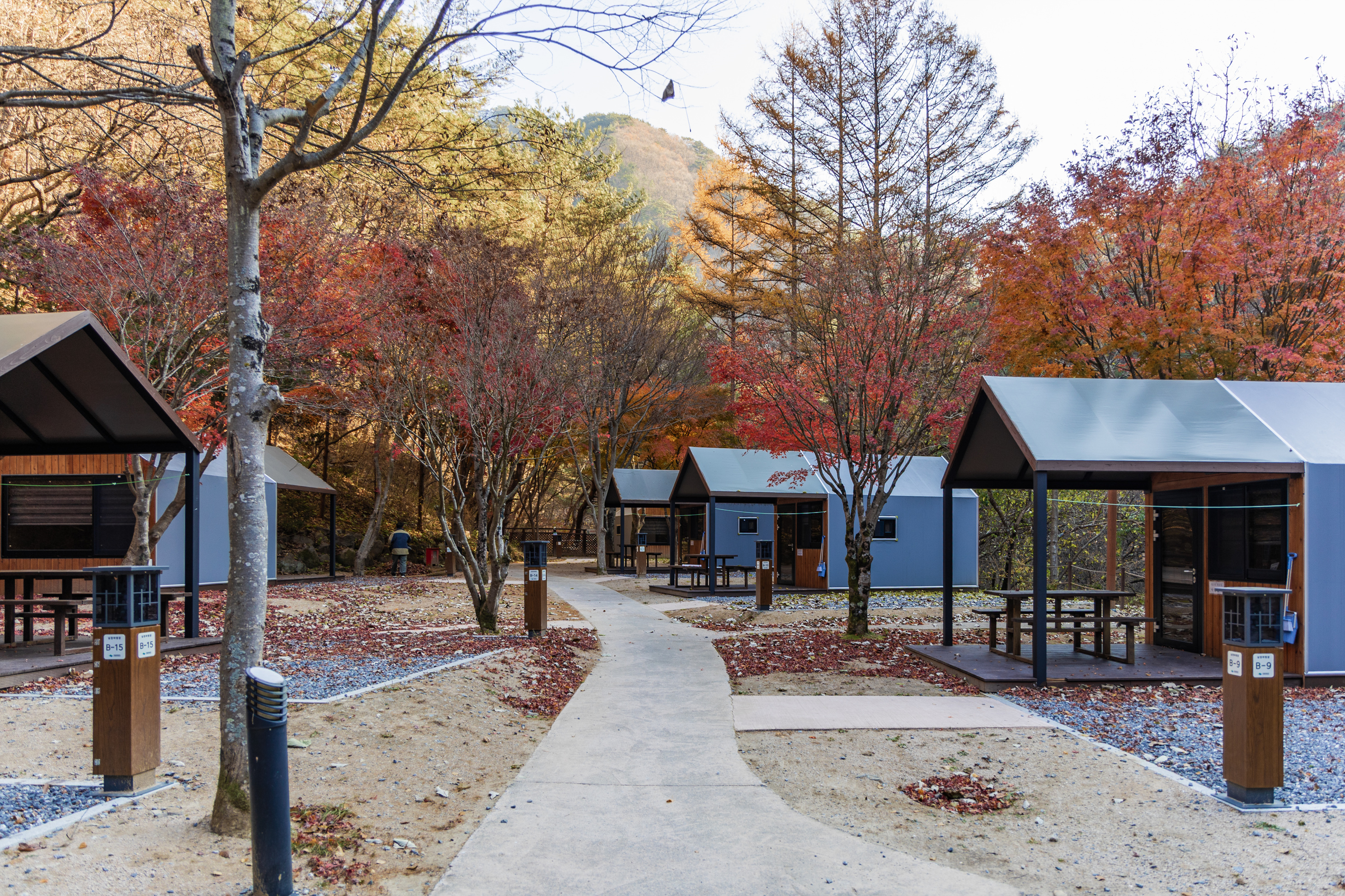소백산국립공원 남천야영장 40번째 이미지